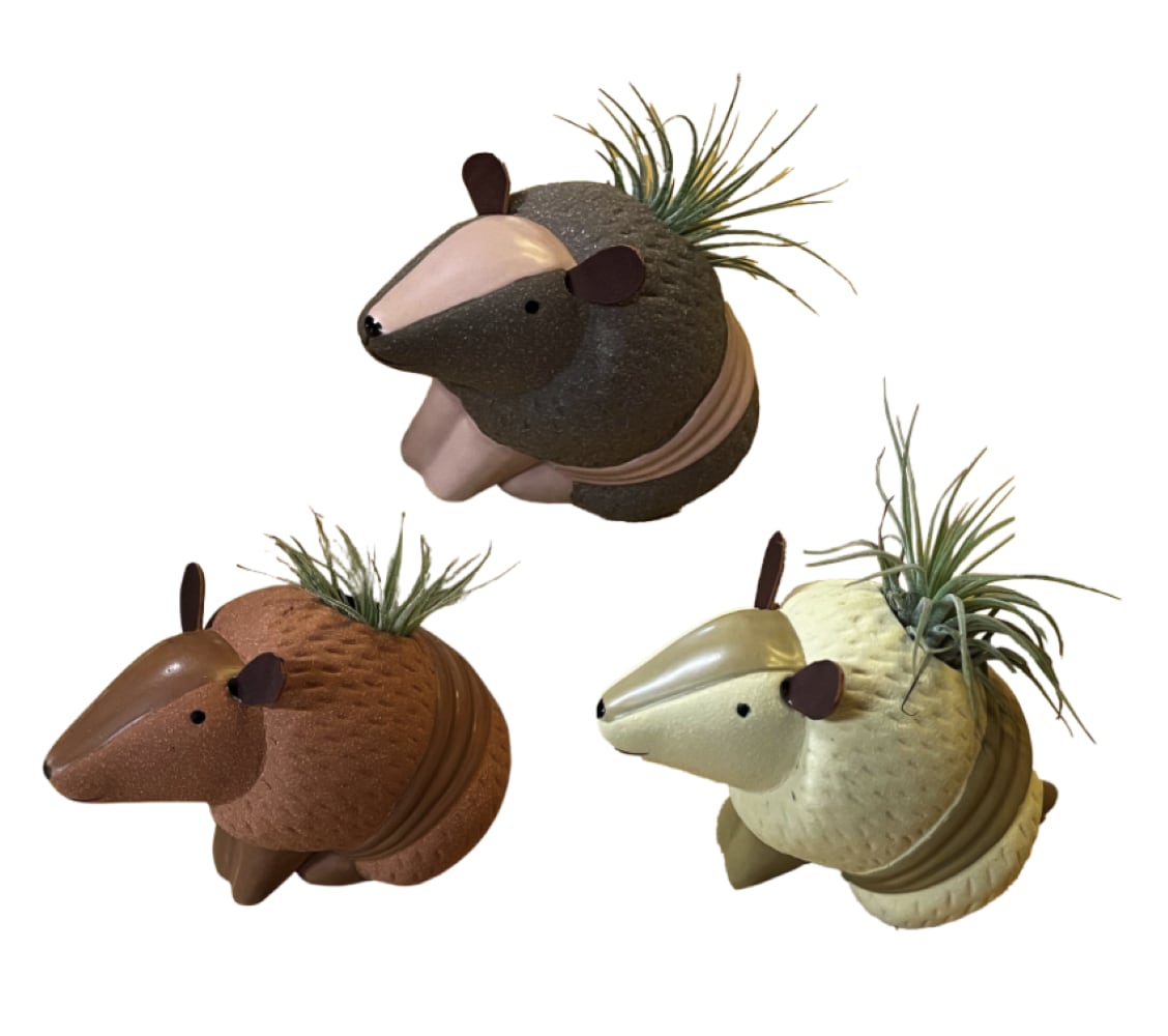 LiveTrends ASB08154 Bandit House plant in 3 -Pack Pot 3 -Pack