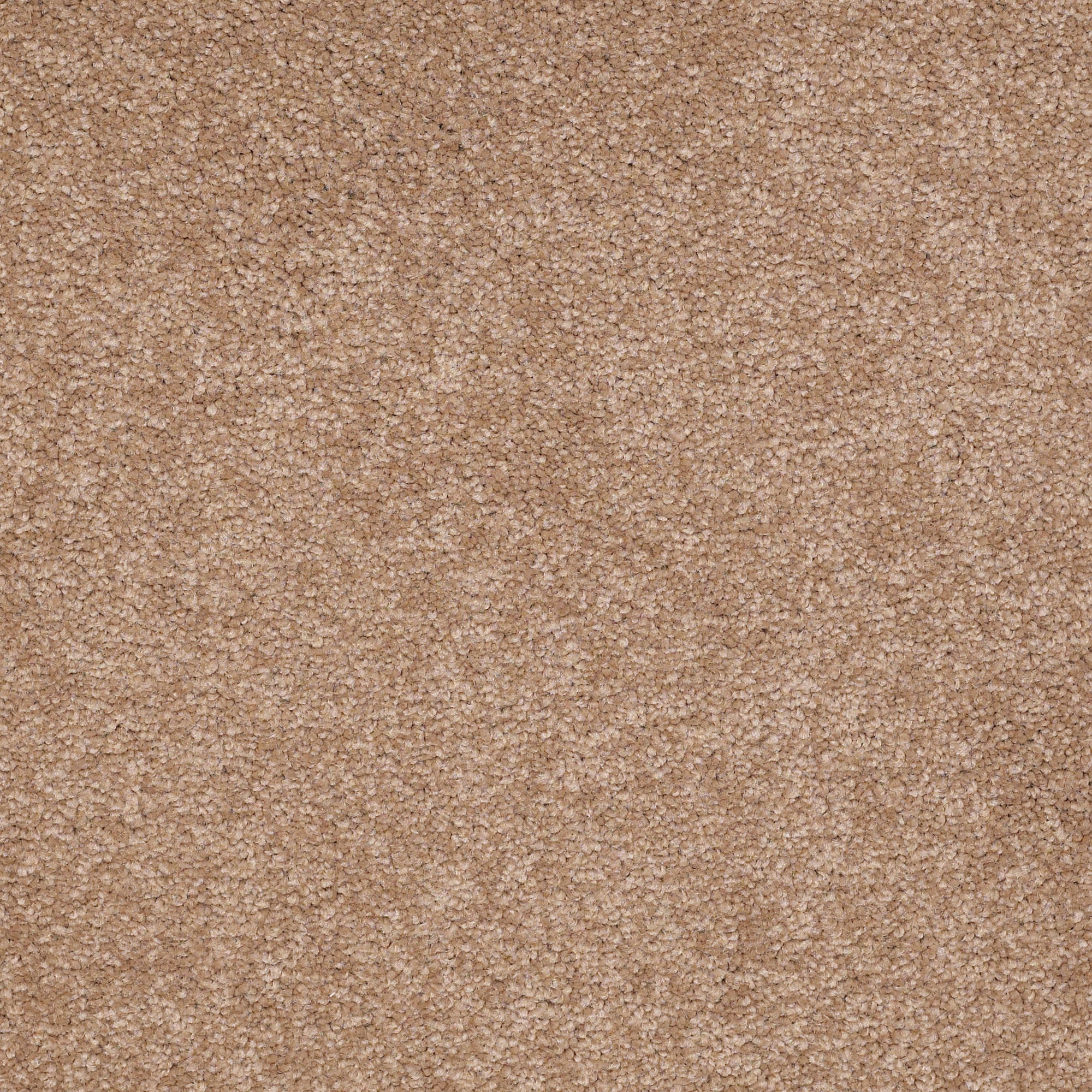STAINMASTER PetProtect 7L891 - 700 - SAMP (Sample) Sweet Spot I Maple Brown 48.8-oz sq yard Nylon Textured Indoor Carpet
