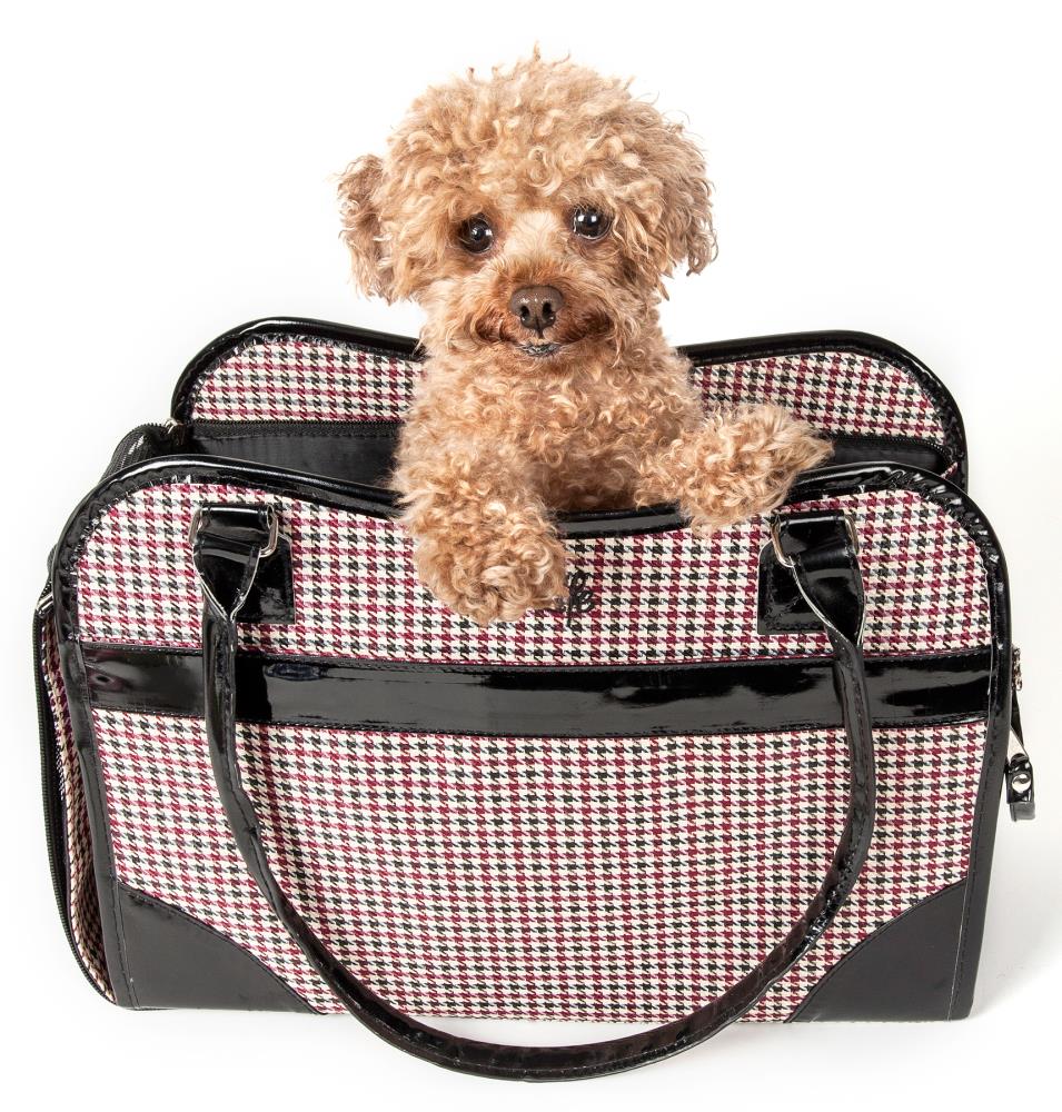 Dog carrier best sale purse near me