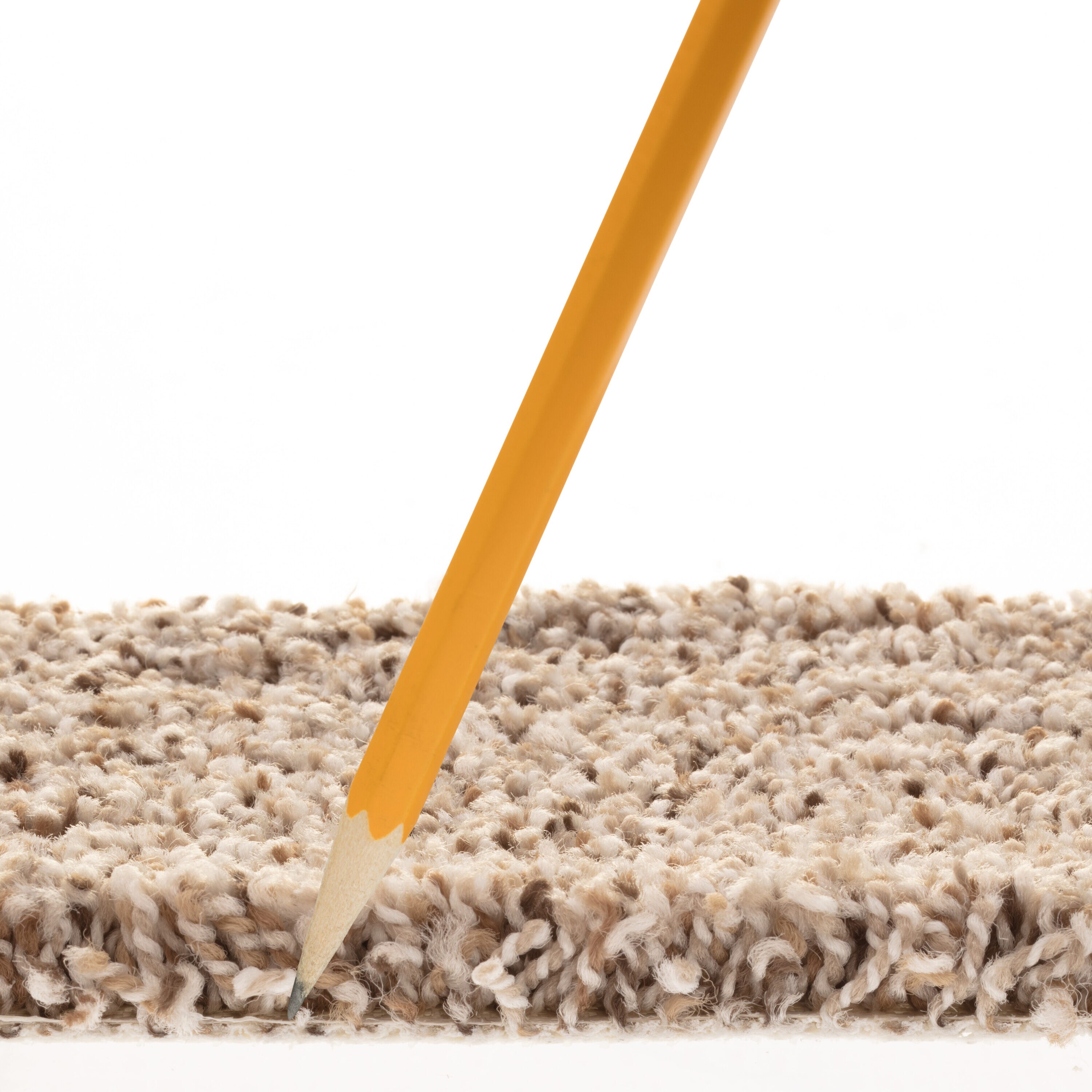 STAINMASTER PetProtect 7L91000176 Carpet-Panel - View #6