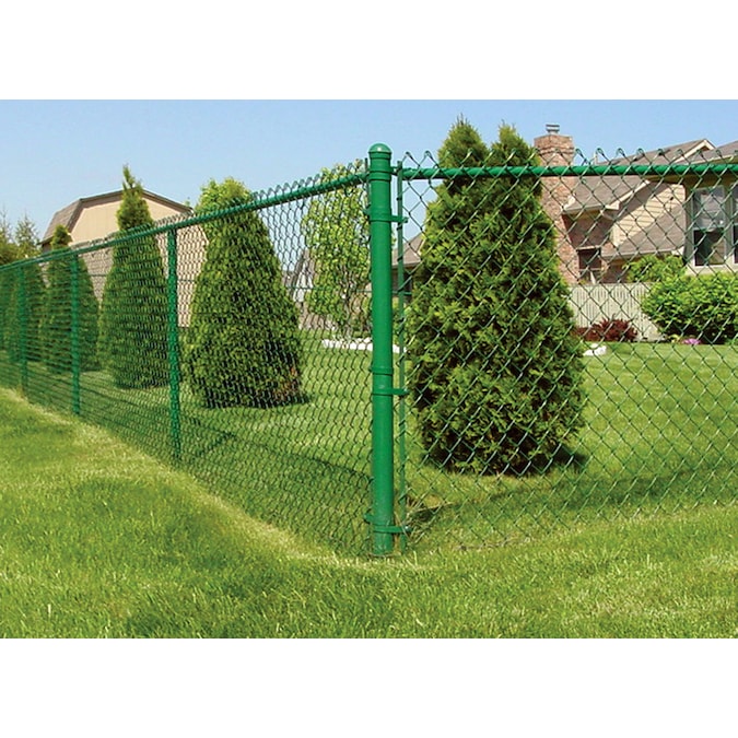 4-ft H x 50-ft L 9-Gauge Vinyl Coated Steel Chain Link Fence Fabric in ...