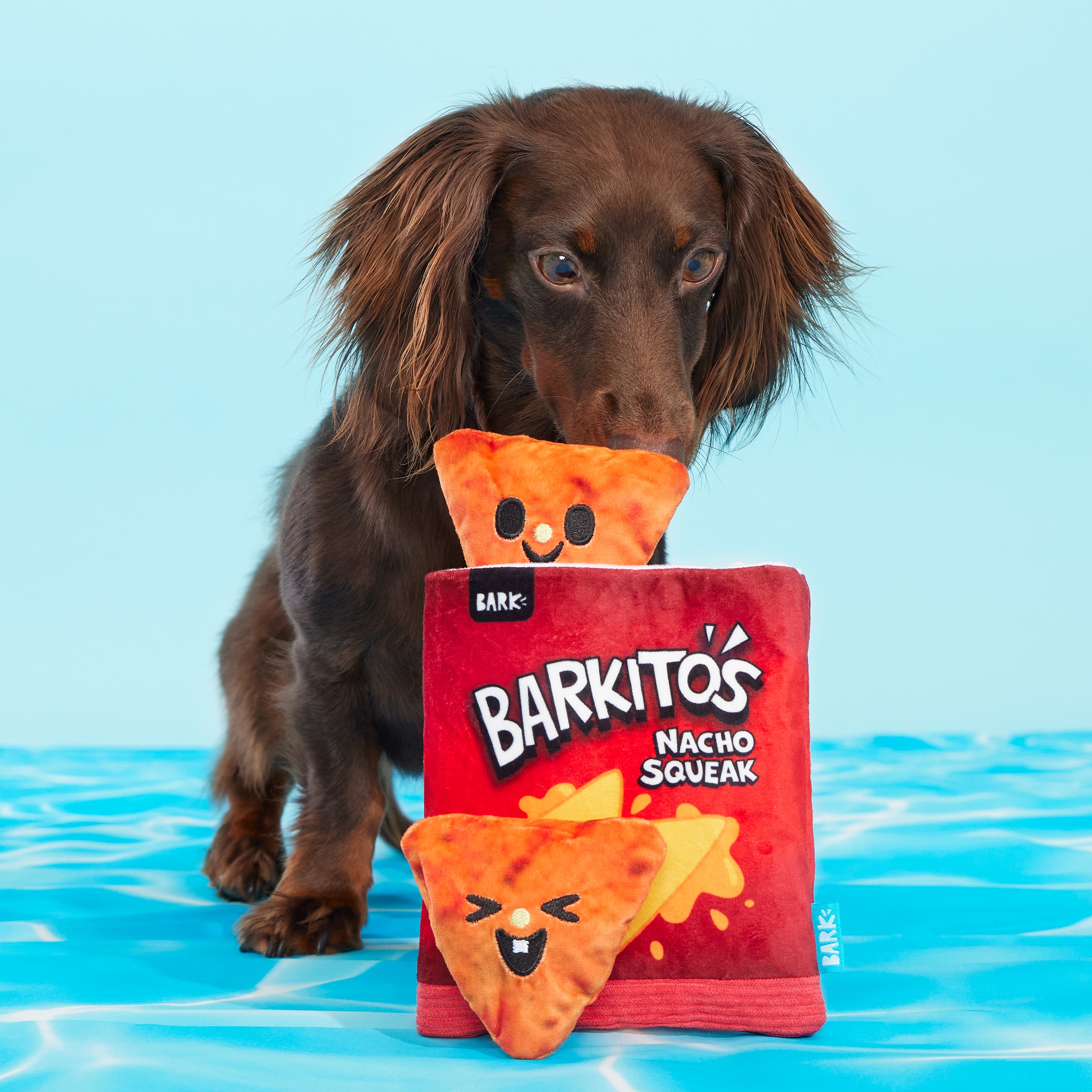 BARK 215822 Dog-Toys - View #4