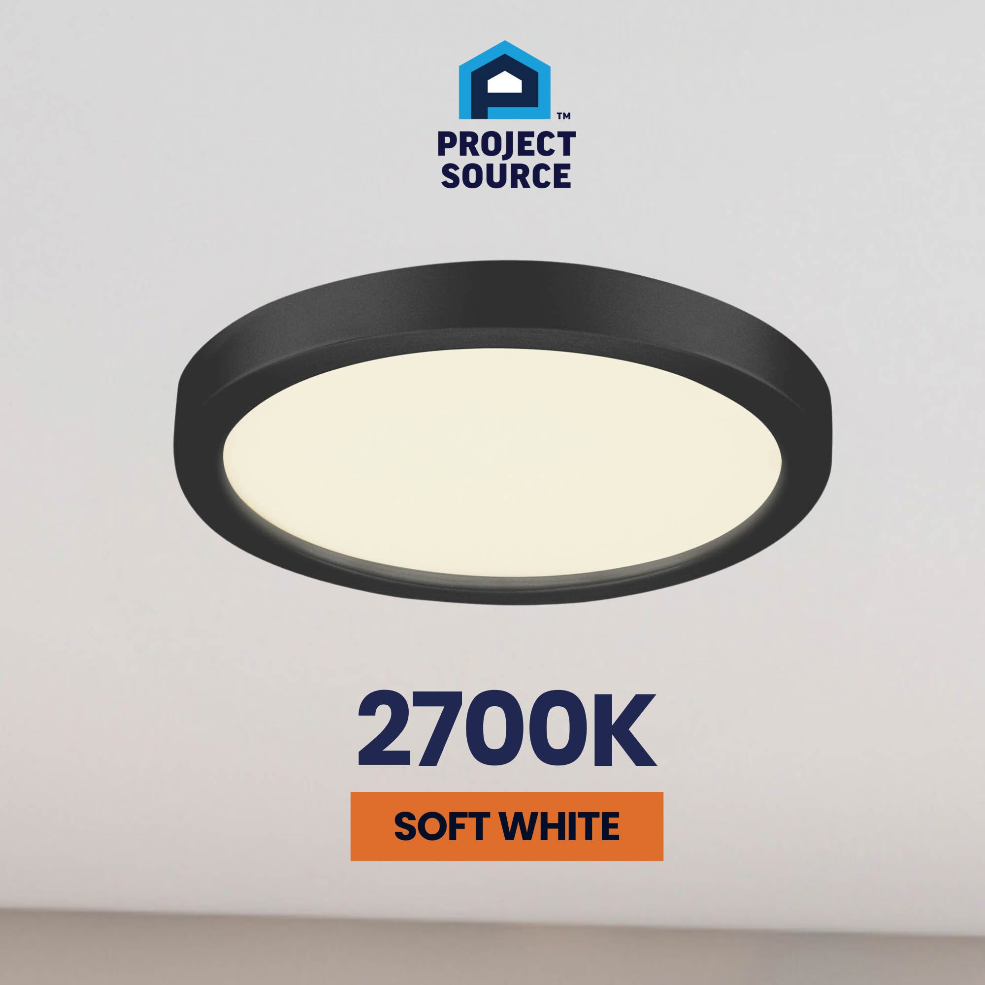 Project Source 43553 flushmounts - View #10