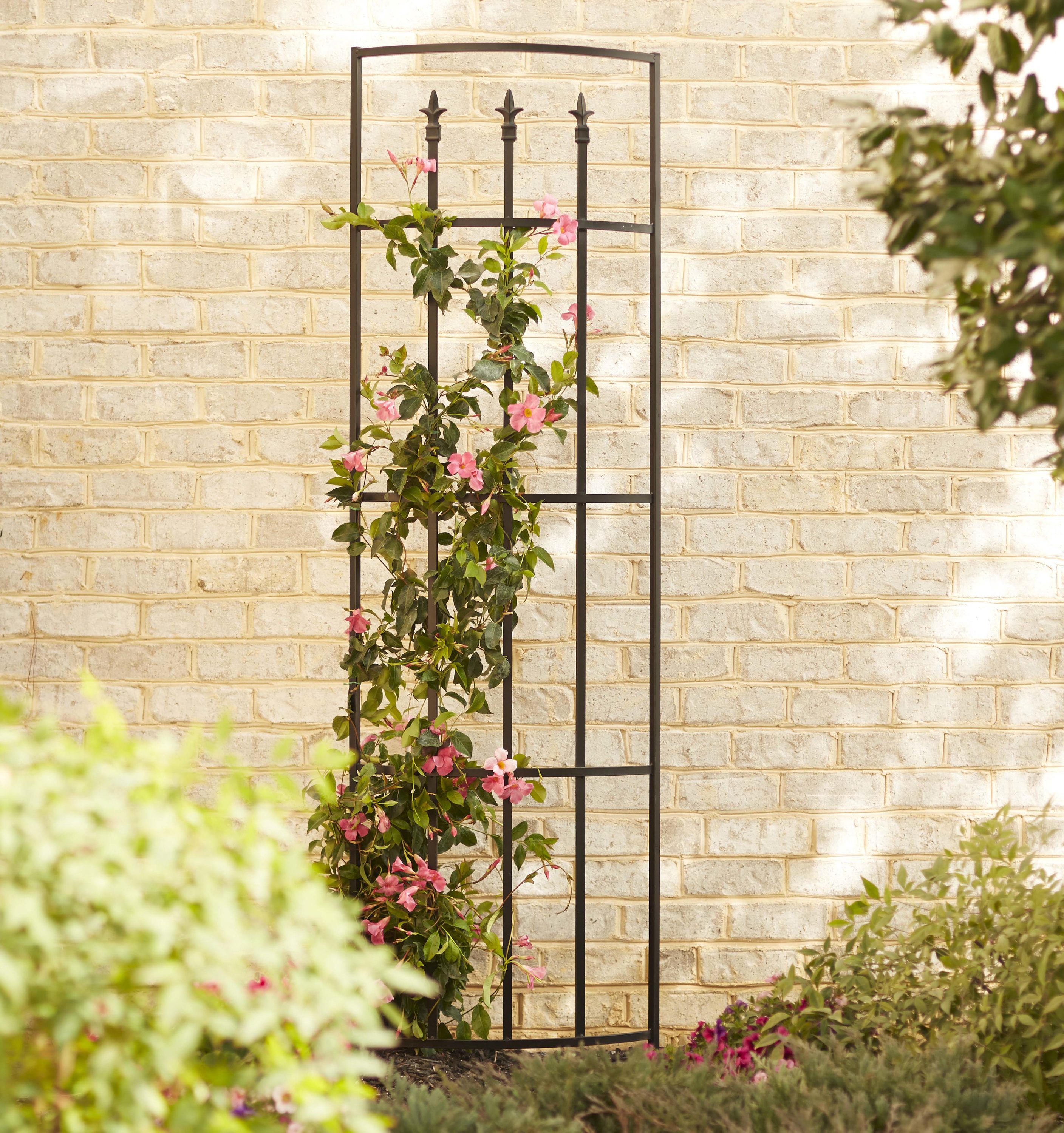 Style Selections Garden Trellis 21.8-in W x 80-in H Black Finial Garden Trellis in the Garden Trellises department at Lowes