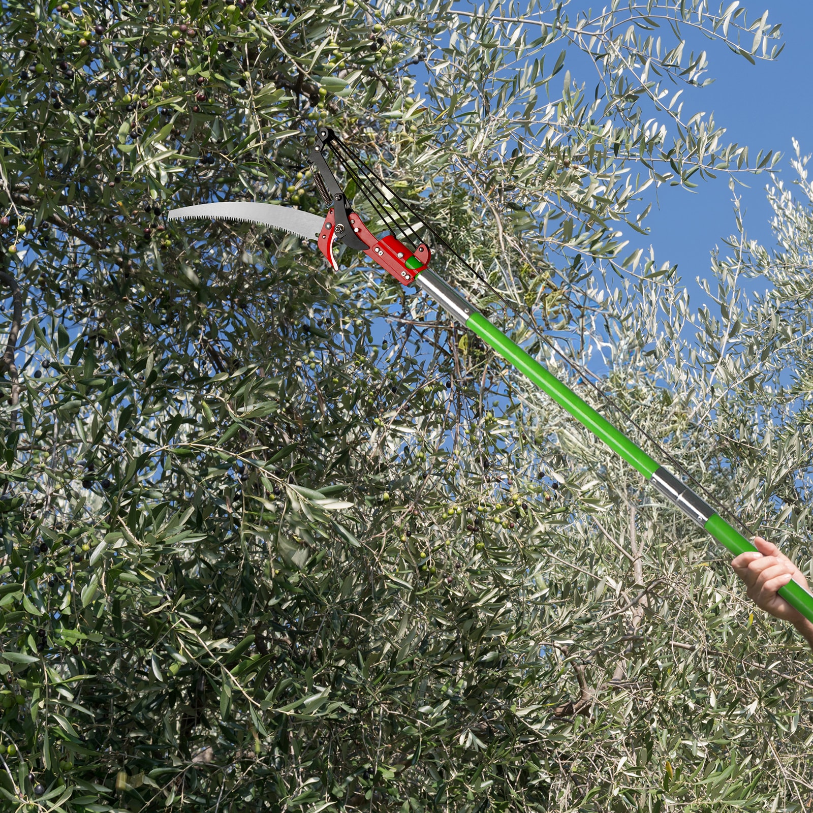 Bestcore LW137BCSY0411 Pole-Pruning-Saws - View #2