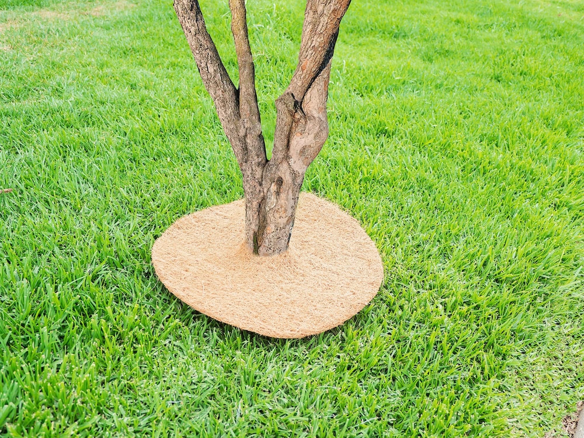 Envelor EN-CWCD-14-10 Rubber-Mulch-Tree-Rings - View #3