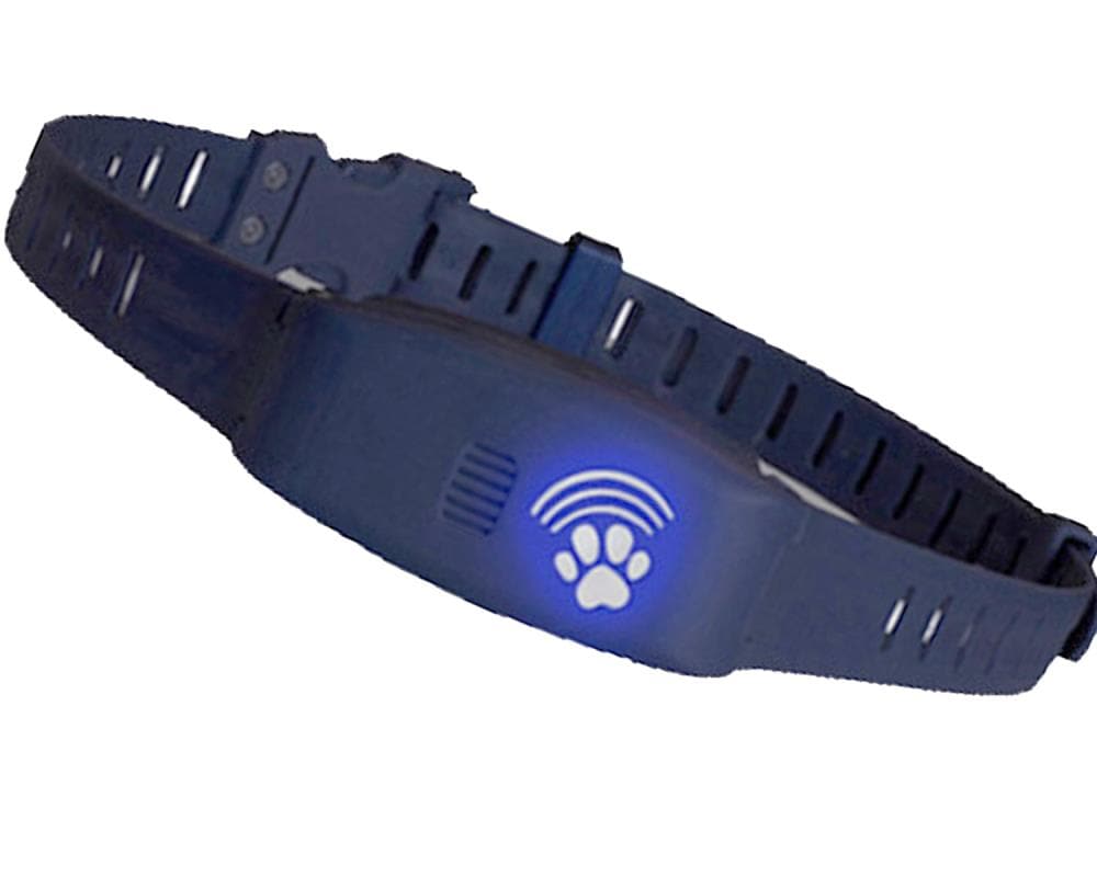 High Tech Pet BF-22 Static Remote Trainer Pet Training Collar