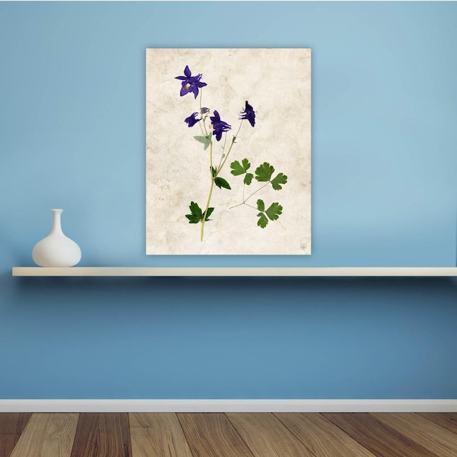 Creative Gallery 20-in H x 16-in W Floral Print in the Wall Art ...