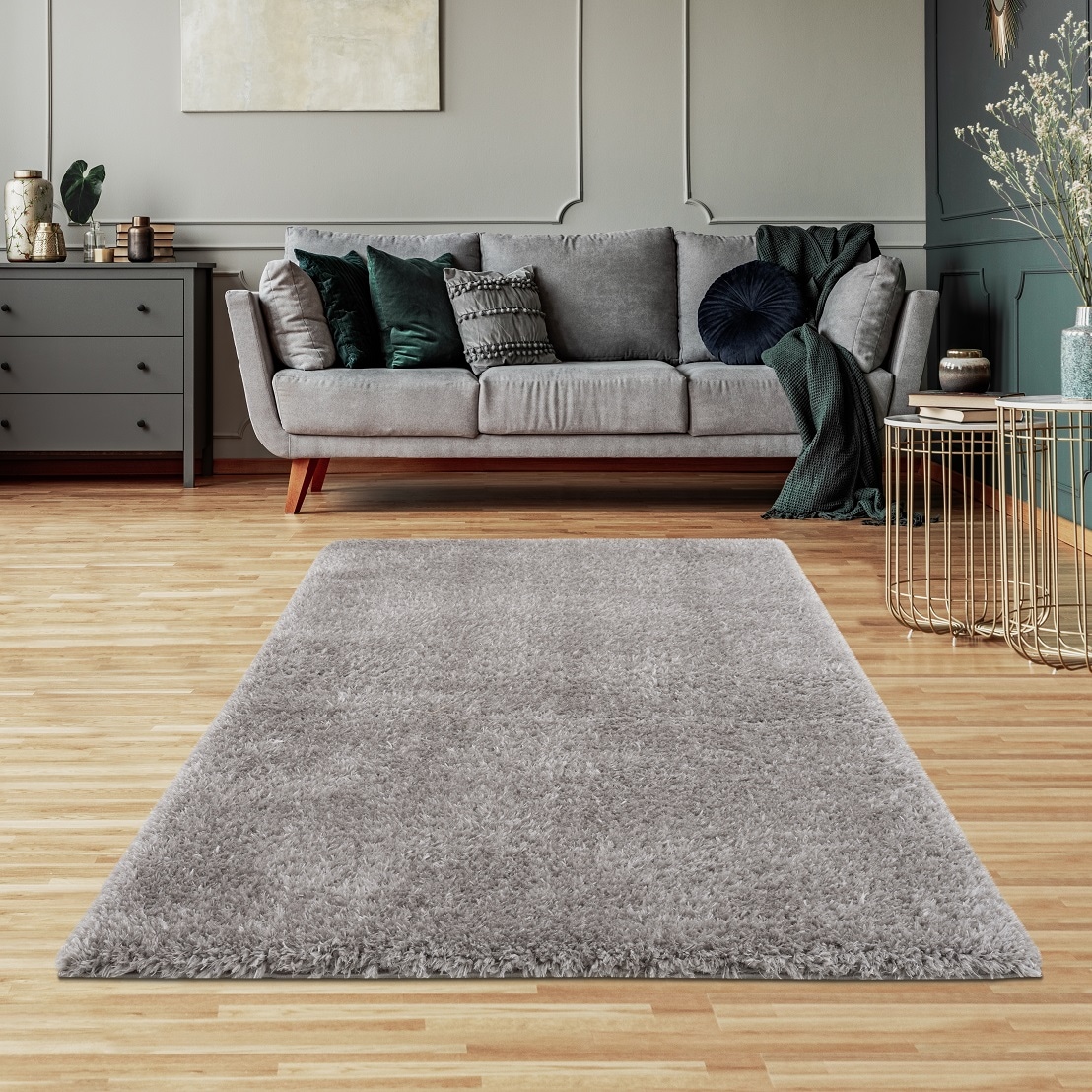 LBaiet ML755G26 GREY rugs - View #2
