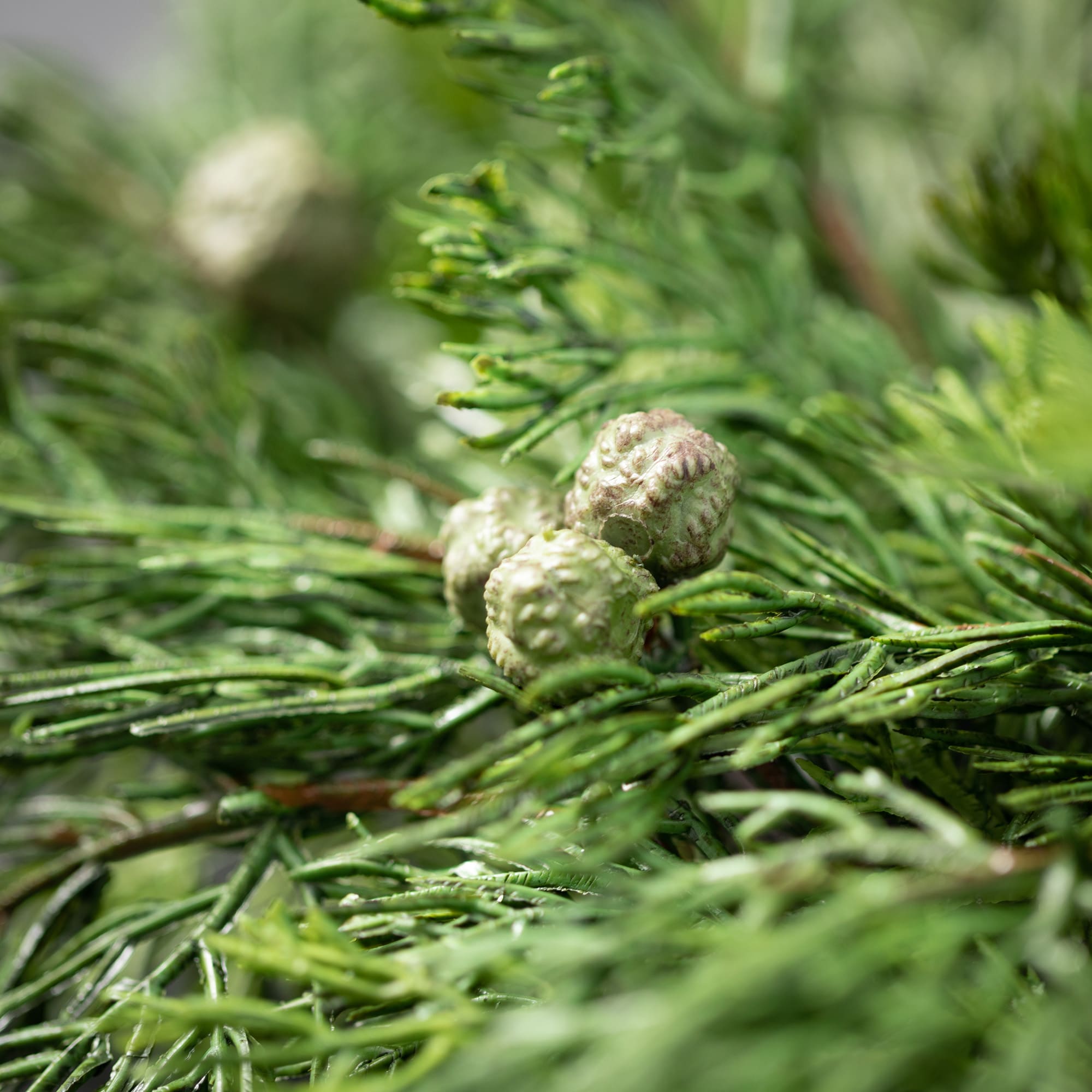 Sullivans WR961 Artificial-Christmas-Wreaths - View #2