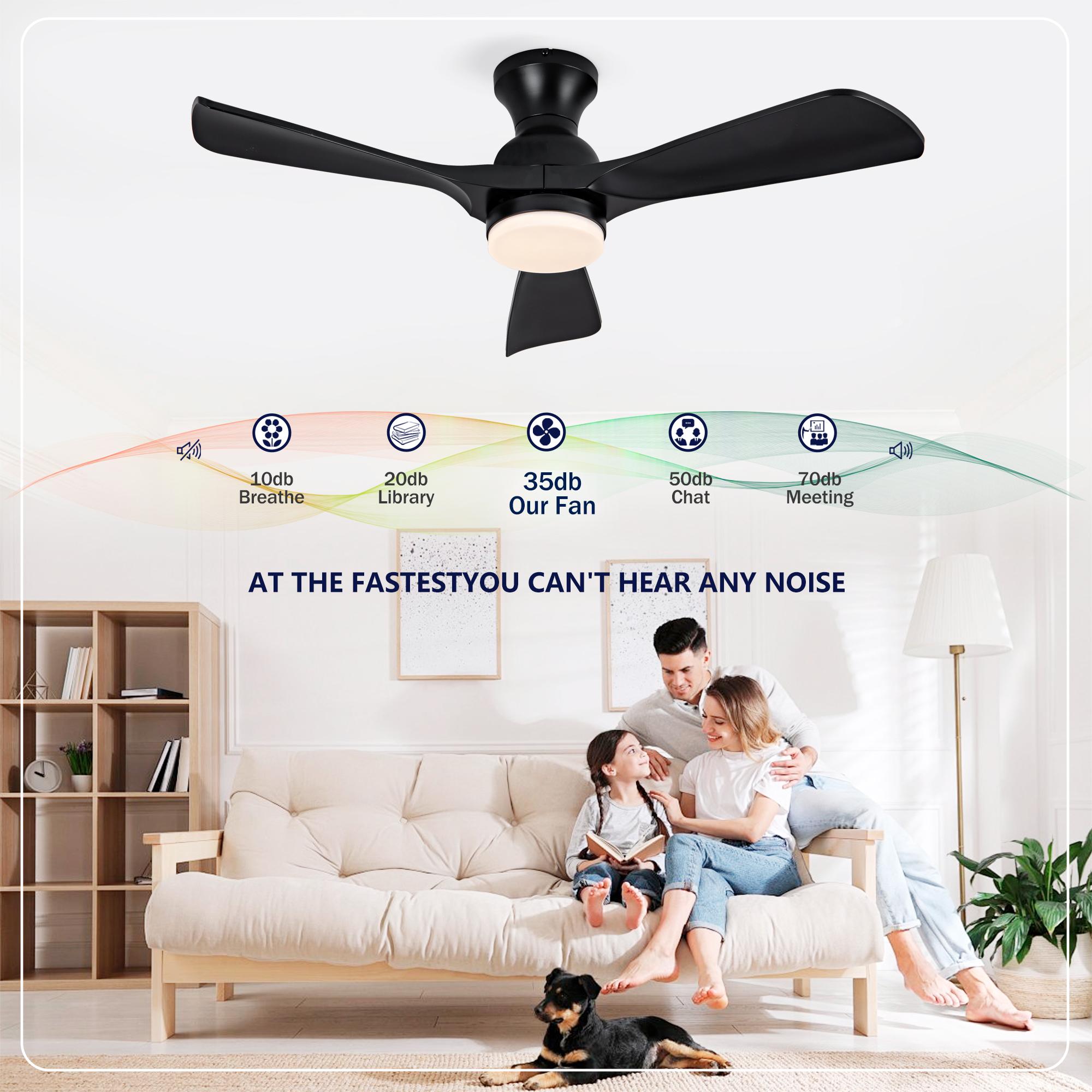 Bayfeve BFHM-62798-CF Ceiling-Fans - View #12