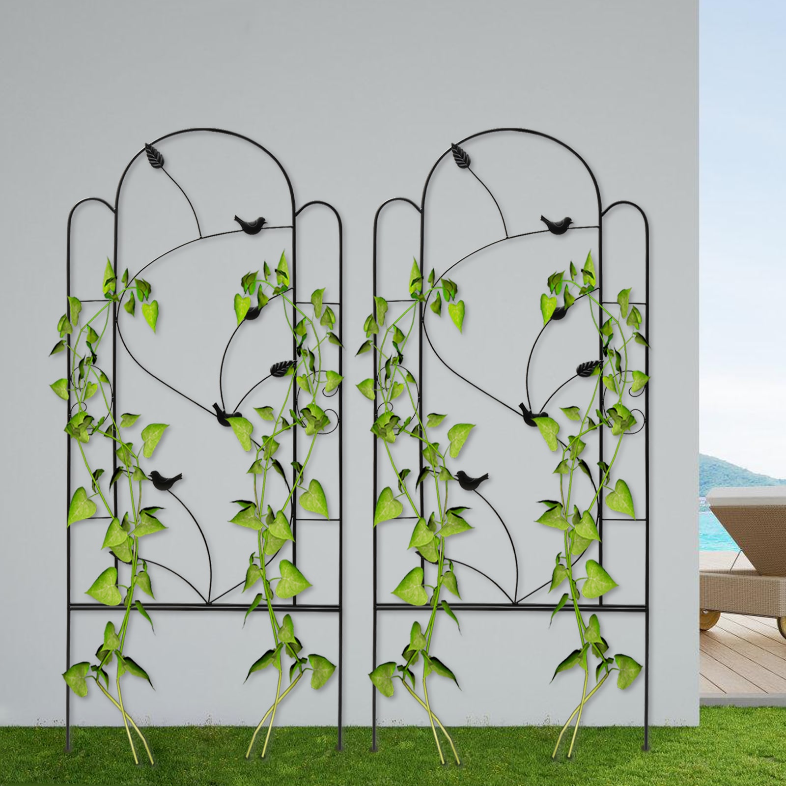 CNCEST YLJHASW3WDZJ8 Garden-Trellis - View #8