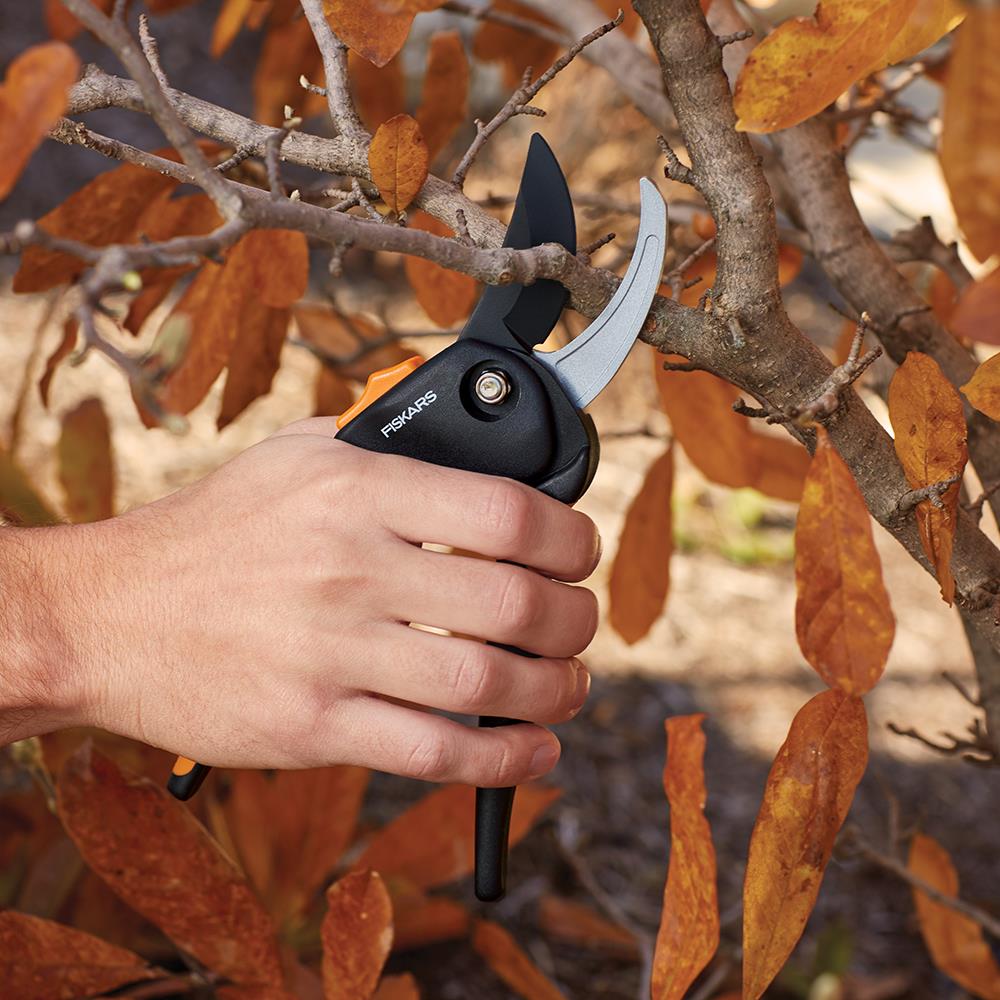 Fiskars Pruning Stik Tree Pruner (9234): Product Review