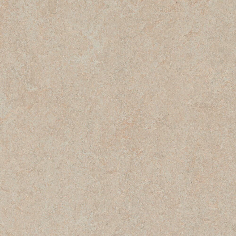 Forbo Flooring Systems 193378 (Sample) Marmoleum Cinch Loc Seal Silver Birch Waterproof Tile Look Laminate Flooring