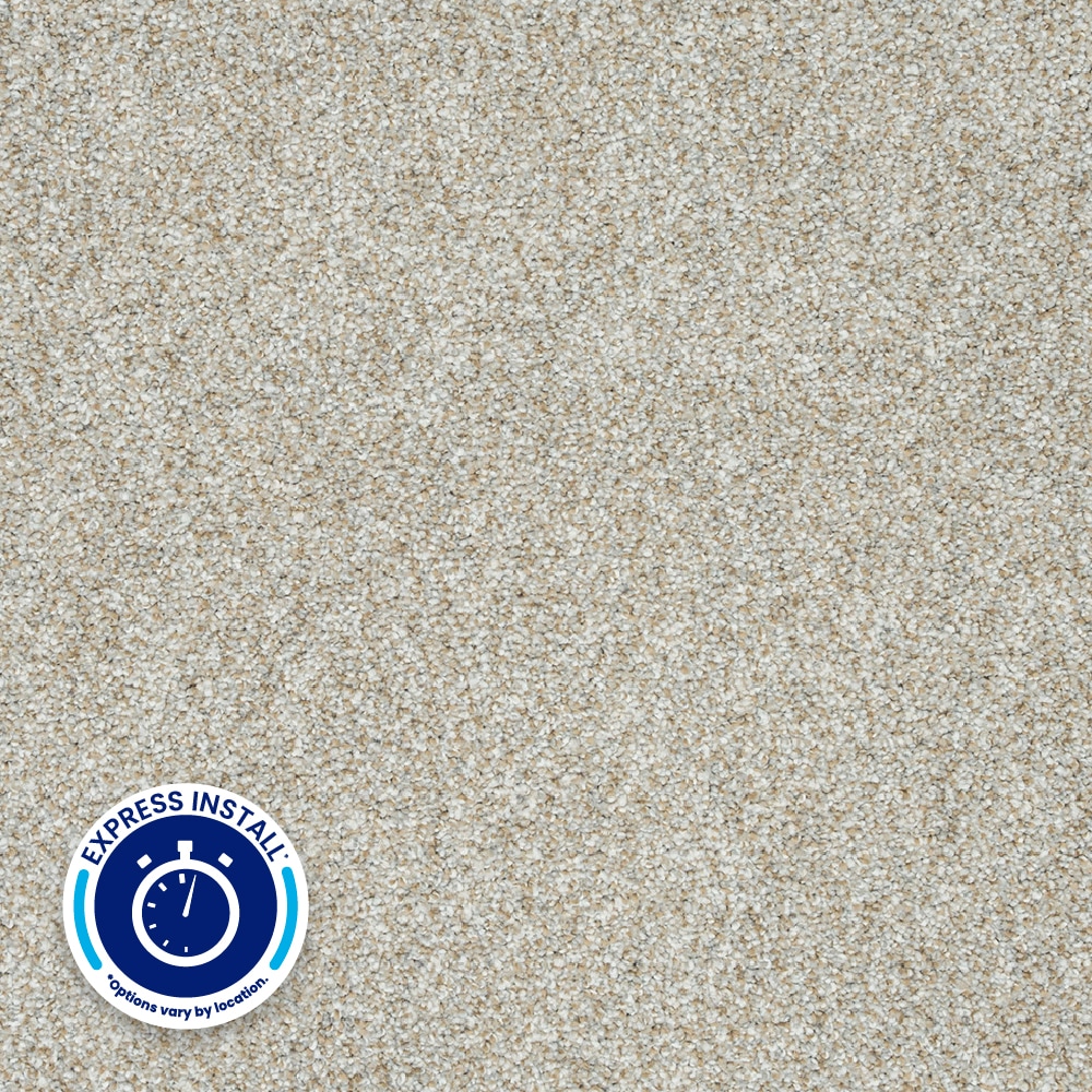 STAINMASTER Desirable Outlook Polyester Textured Indoor Carpet
