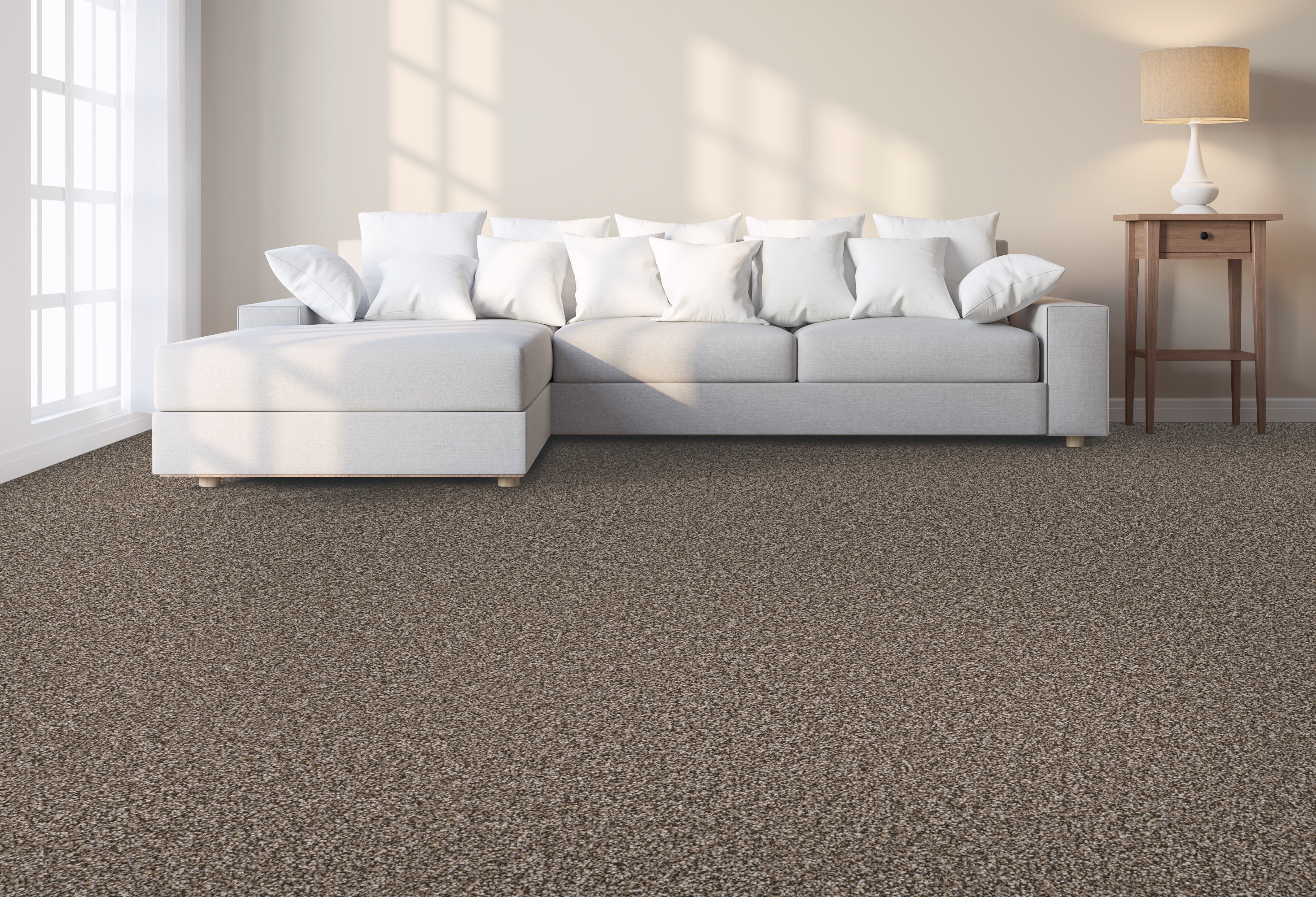 STAINMASTER PetProtect 7L93000765 Carpet-Panel - View #2