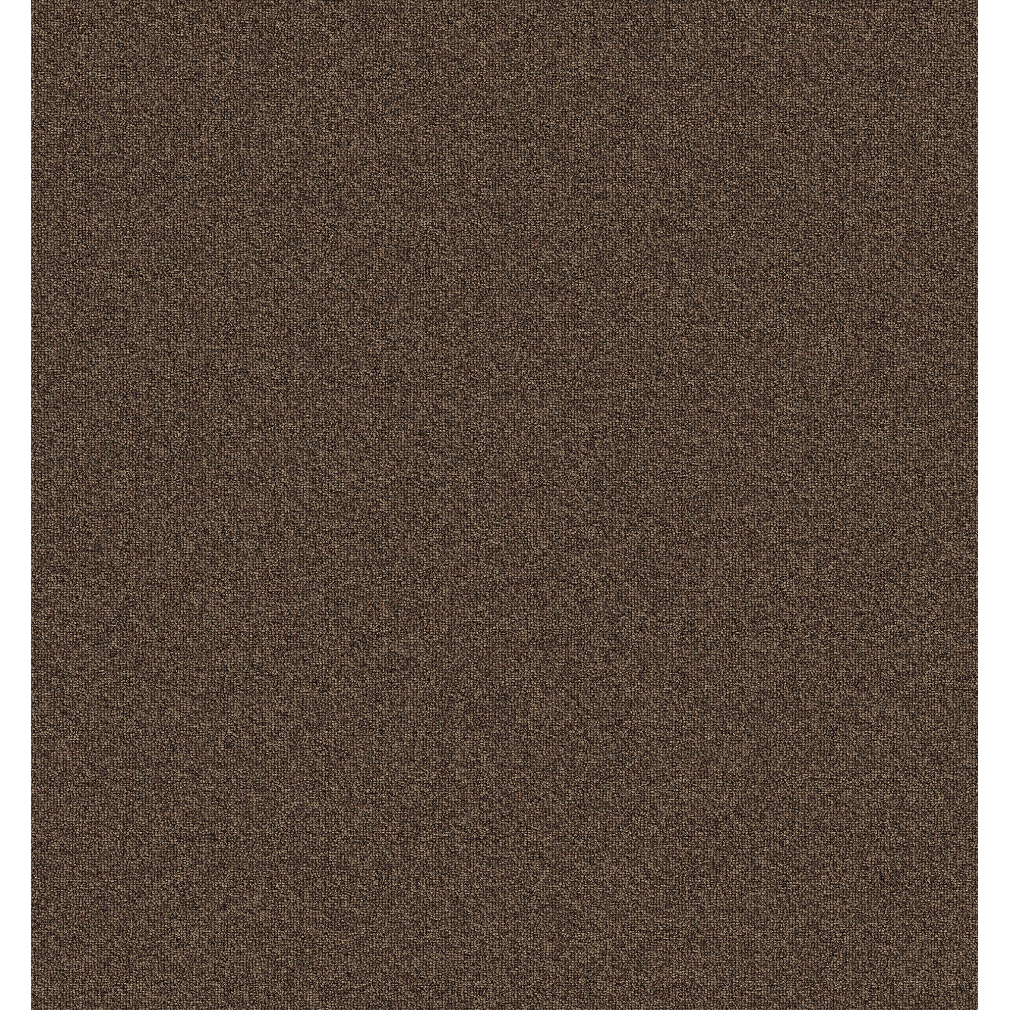  LC77-12-L006 Pro Renovations - No Rules 20 Nutmeg Brown 20-oz sq yard Solution-dyed polyester Level loop Indoor Carpet