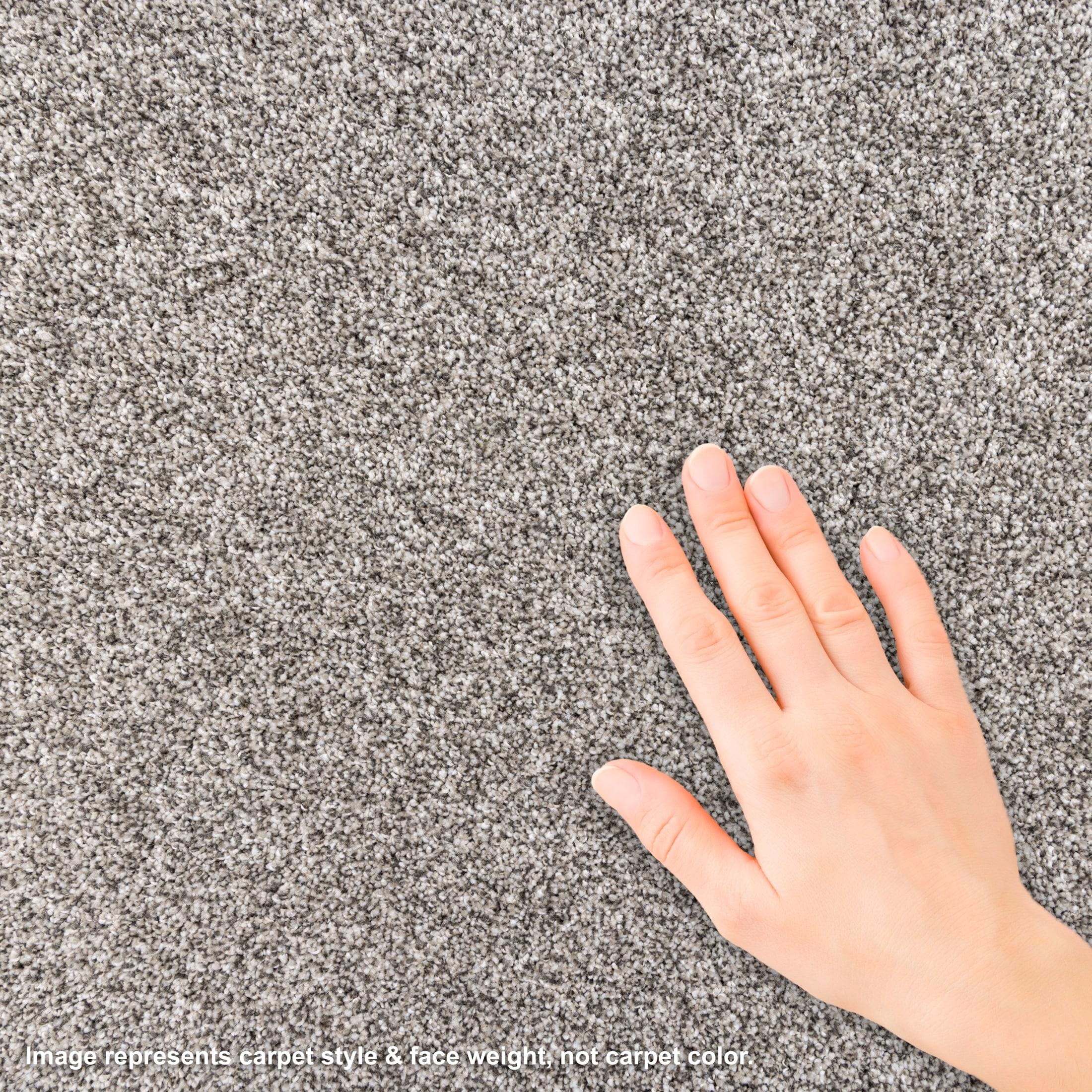 STAINMASTER PetProtect L3014-1303-1200-AB Carpet-Panel - View #3