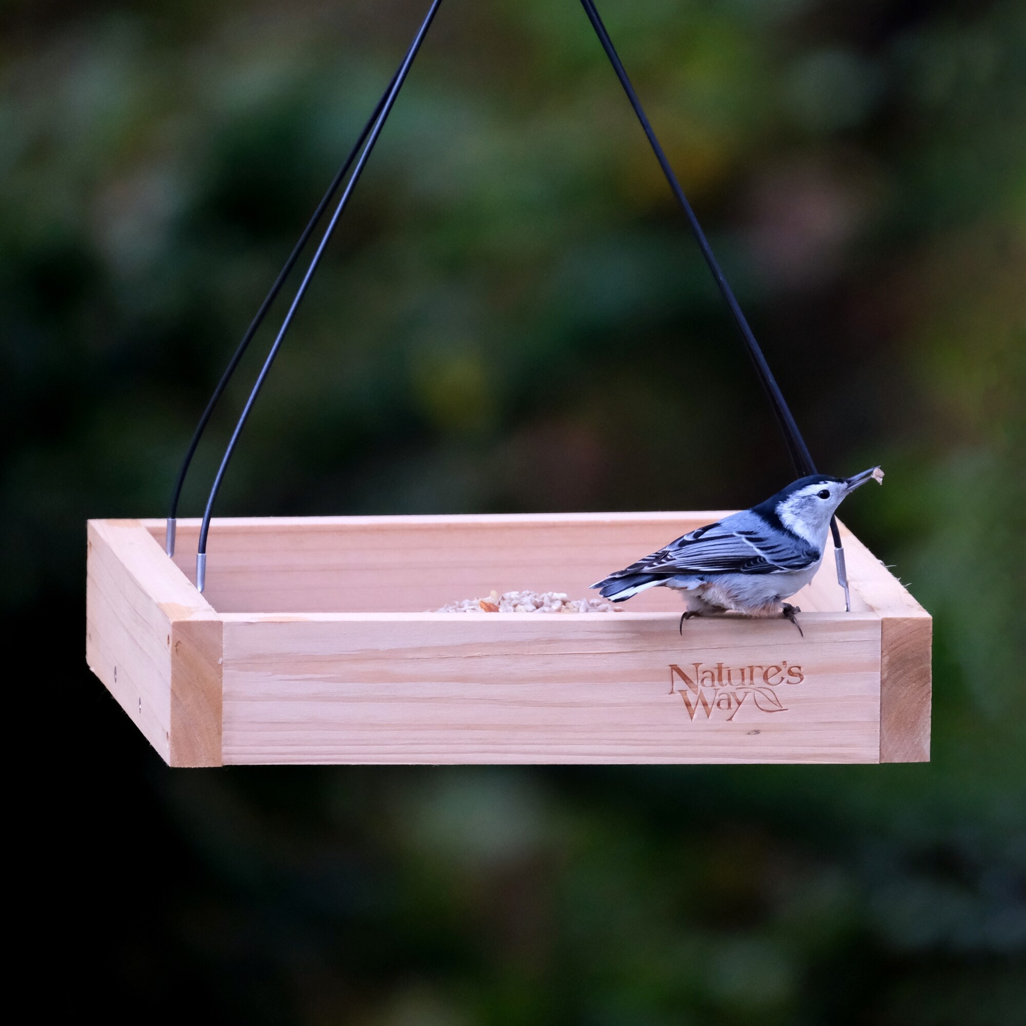 Nature's Way CWF3-CP1 Bird-Feeders - View #2