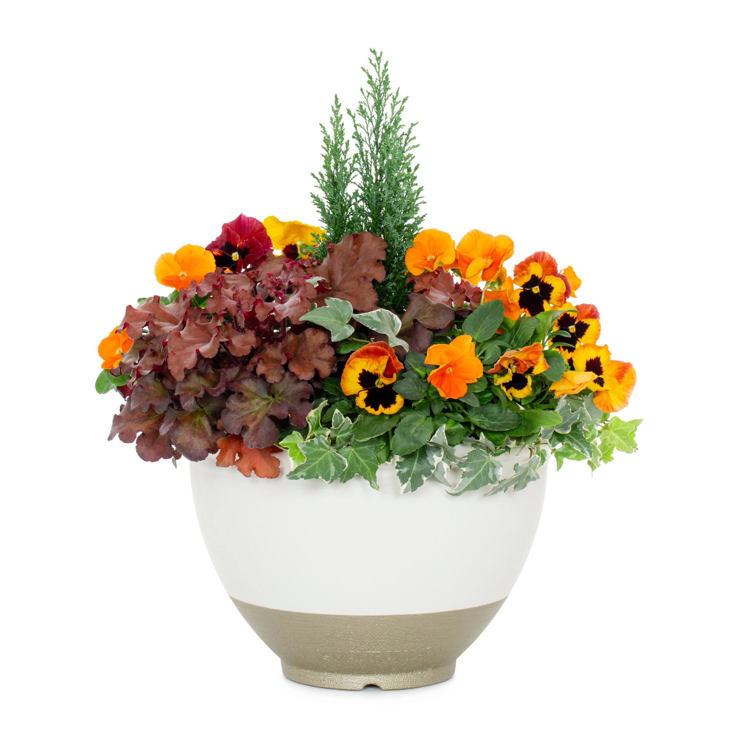 3 Gallon(s) Assorted colors Mixed Annual Combination 3 -Pack