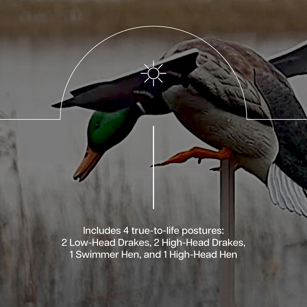  Avian X 408527 Hunting-Equipment - View #5