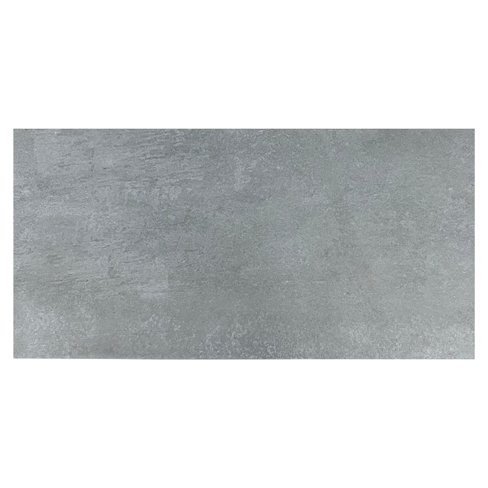 Origin 21 Concretto Concrete Polished 16-in X 32-in Polished Porcelain 