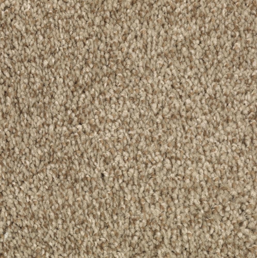 STAINMASTER S771403SCOTCH T-6778 (Sample) Essentials Tonal Design Scotch Tweed Textured Carpet