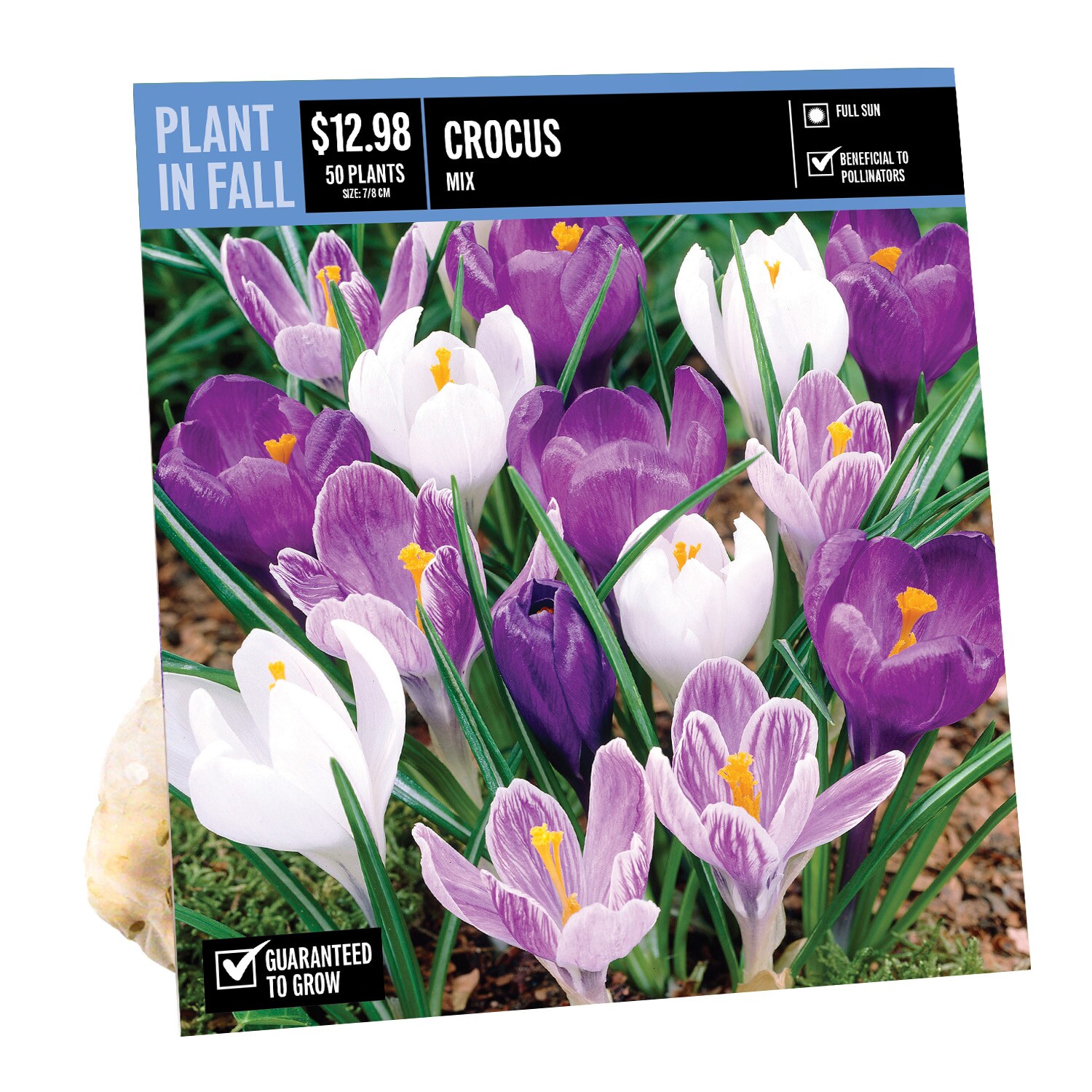 CROCUS MIXED PBS in the Plant Bulbs department at Lowes.com