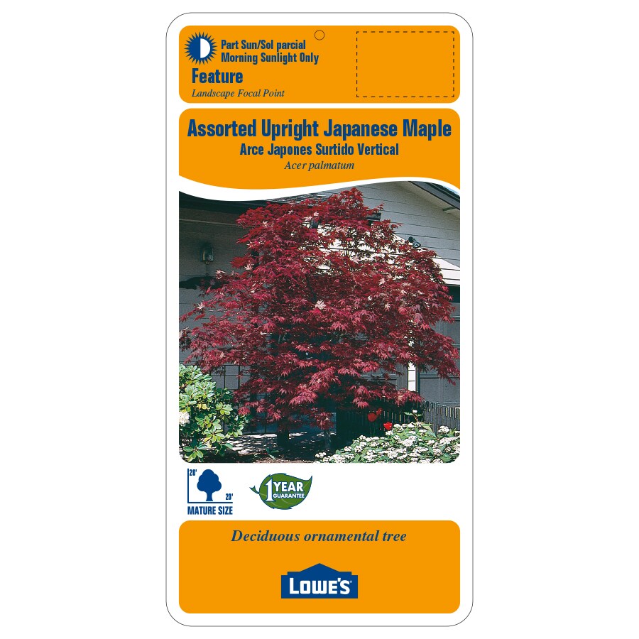Lowe's 391300 trees - View #2