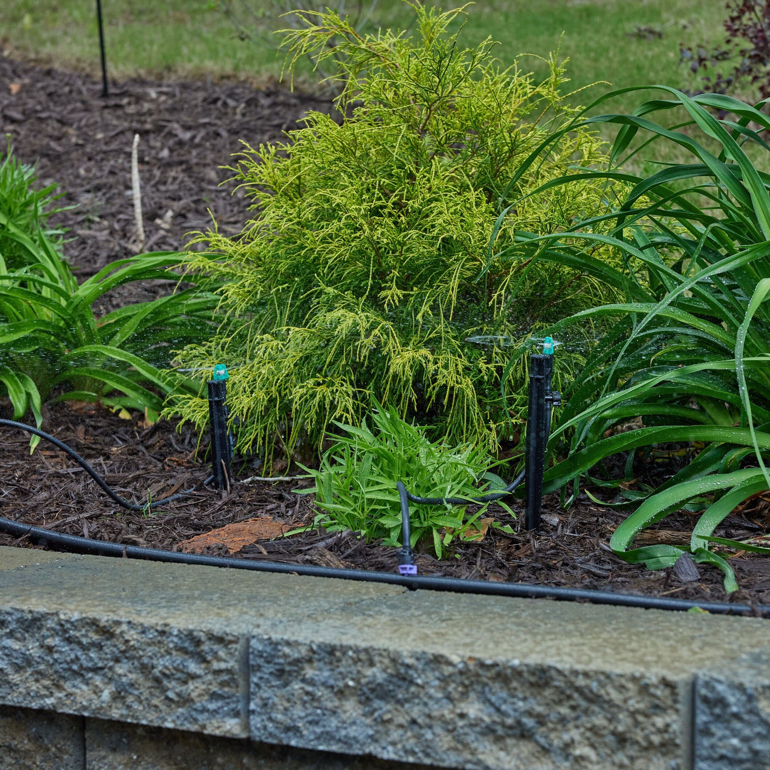 Mister Landscaper MLM-15 Drip-Irrigation-Water-Emitters - View #8