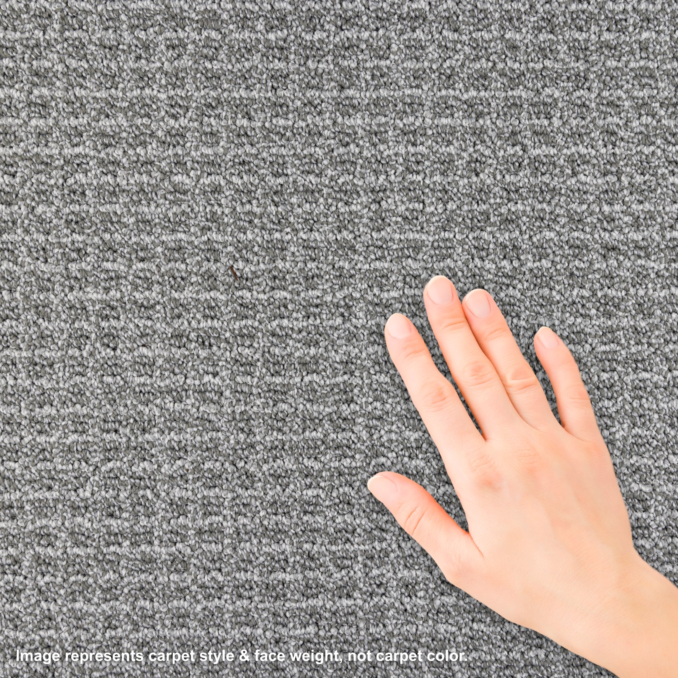 STAINMASTER L5009-9006-0808 Carpet-Samples - View #3