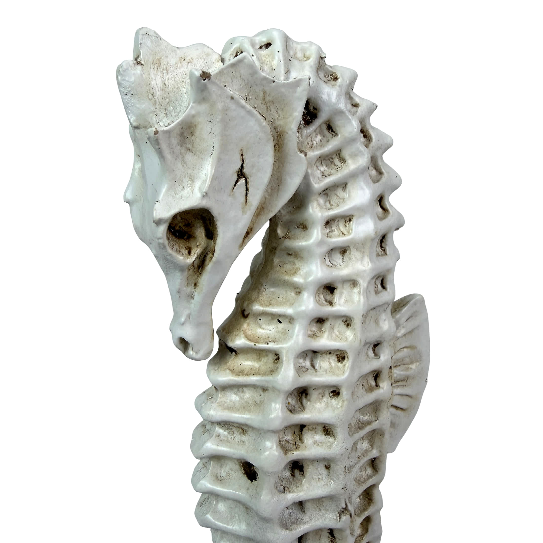 Fancy That Gift & Decor HAL87185 Decorative-Accessories - View #9