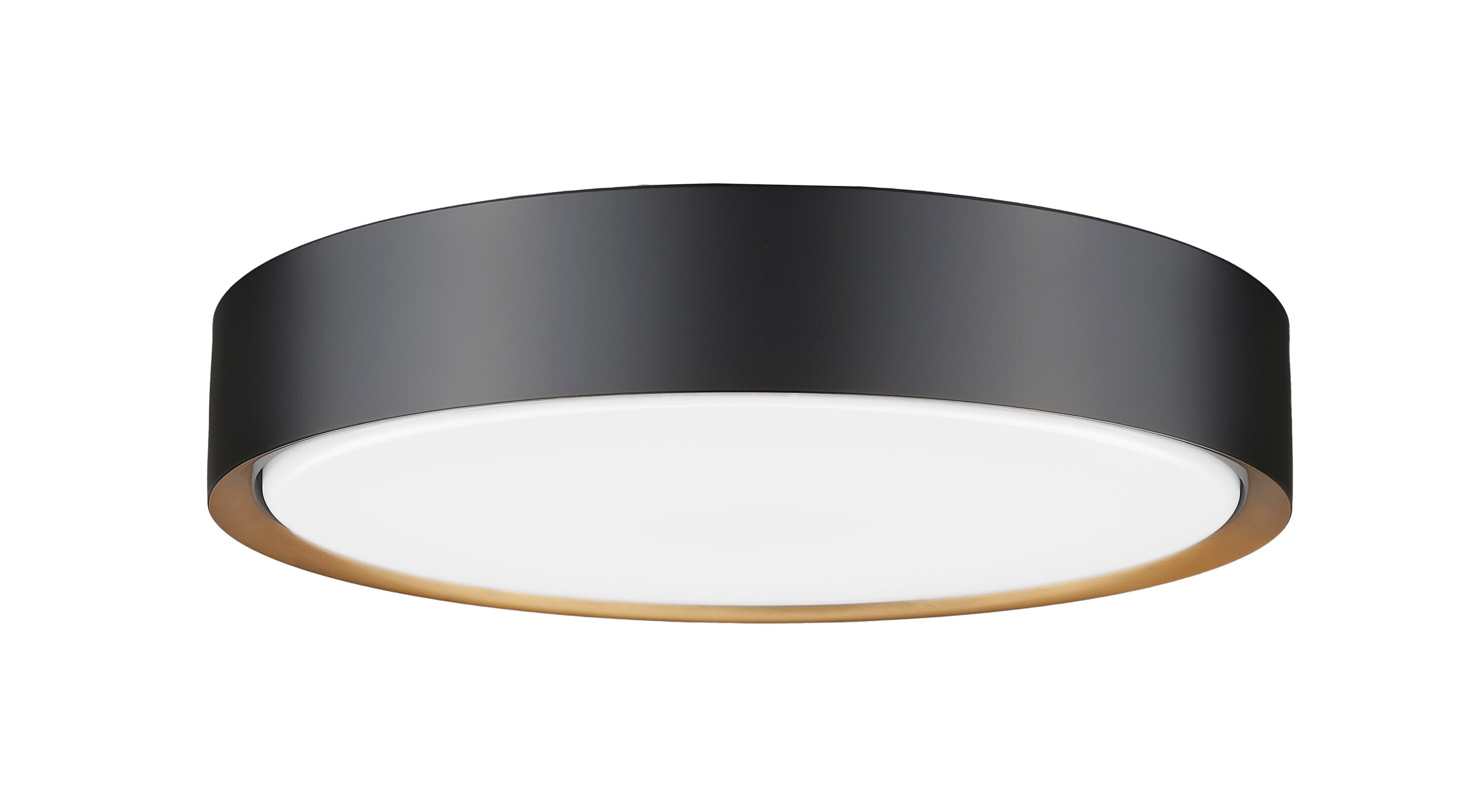 Z-Lite 1014F16-MB-MGLD-LED flushmounts - View #7