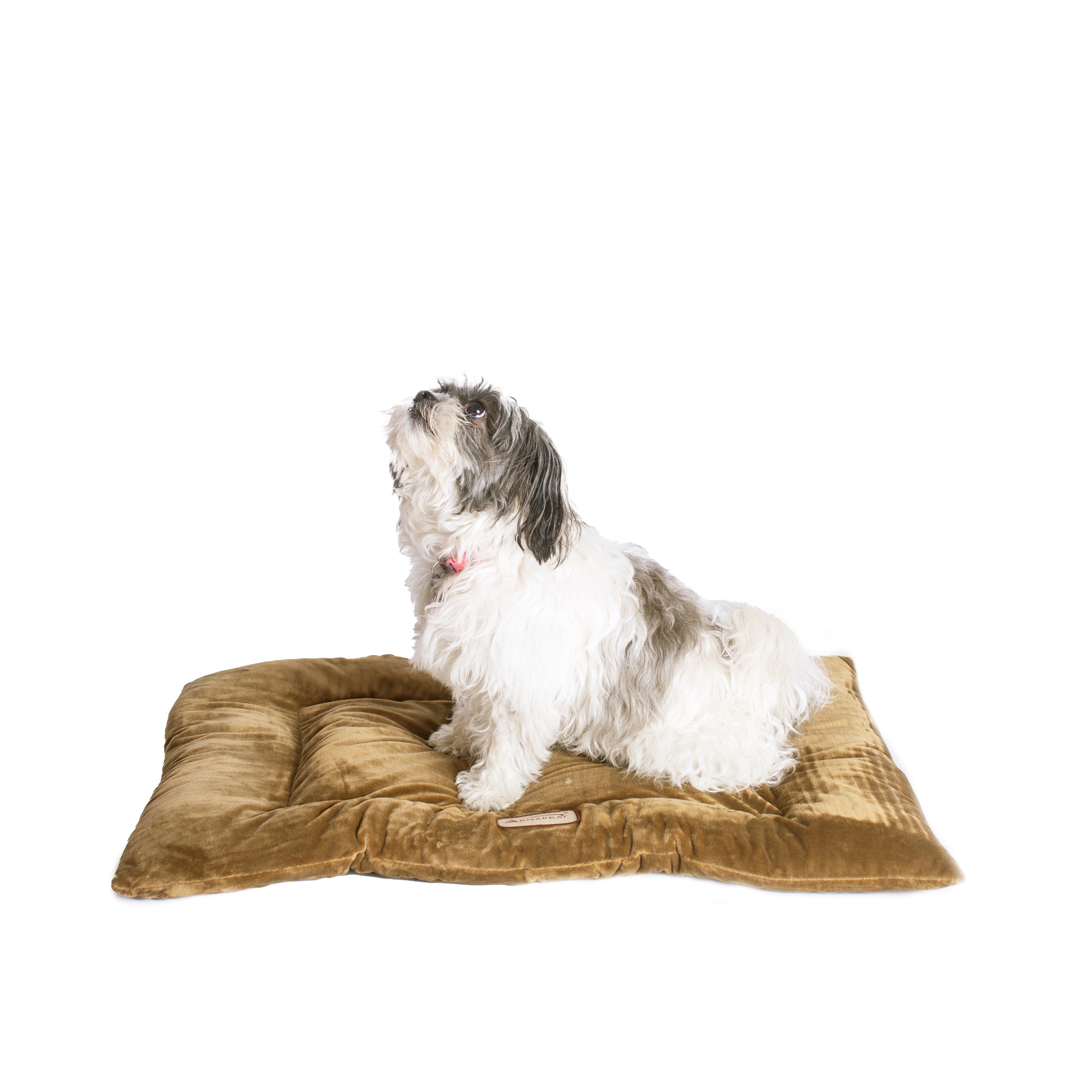 Armarkat M01CHL-M Pet-Beds - View #2