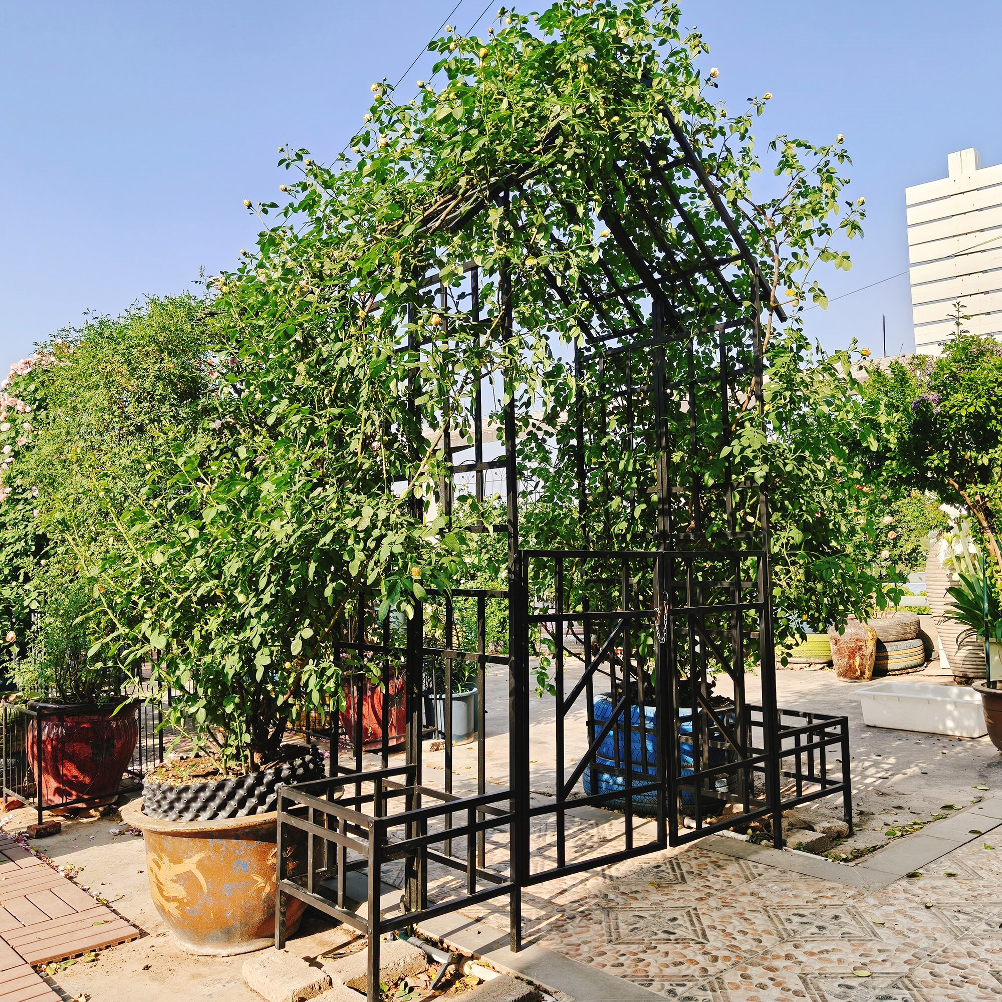 PetriMins Various Styles Arbor Trellis With Gate Black Garden Arch ...