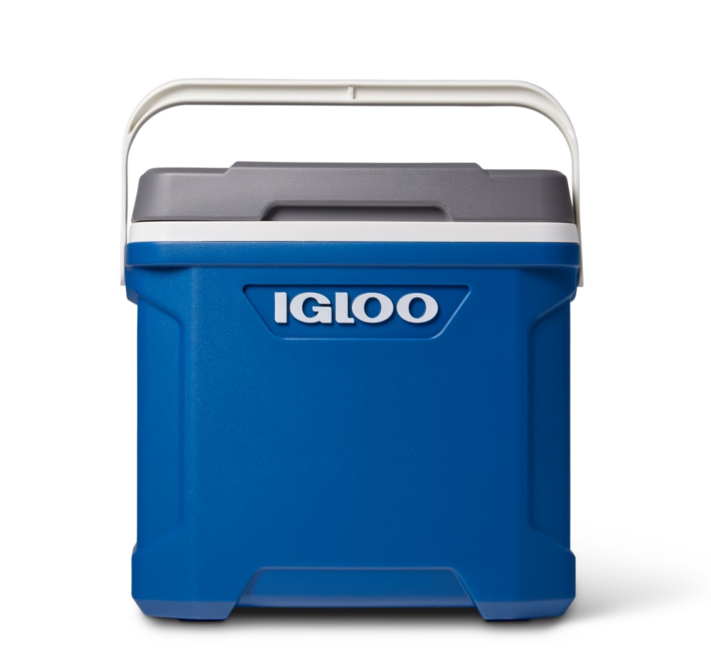 Igloo 2.03-lb Blue Gel Ice Pack