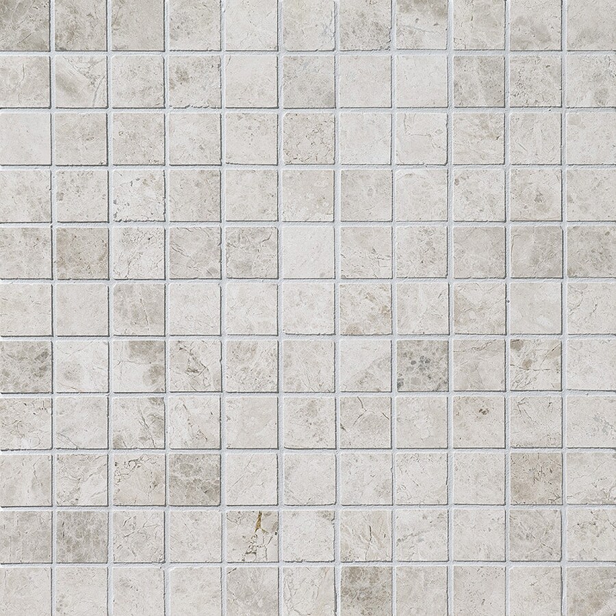Marble Systems MS01017 NBS Silver Clouds 2-in x 12-in Polished Natural Stone Marble Uniform Squares Floor and Wall Tile (6-sq. ft/ Carton)