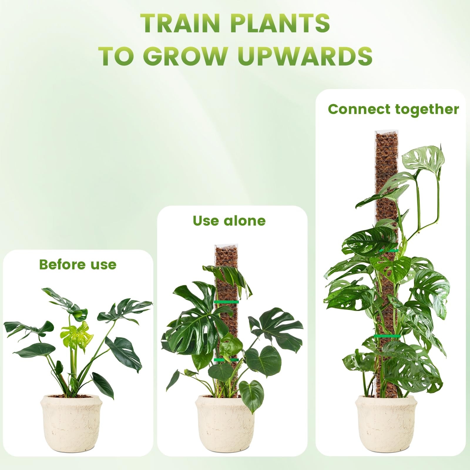 Justincity 4 pcs 24 Inch Plastic Moss Pole Set D Shaped Plant