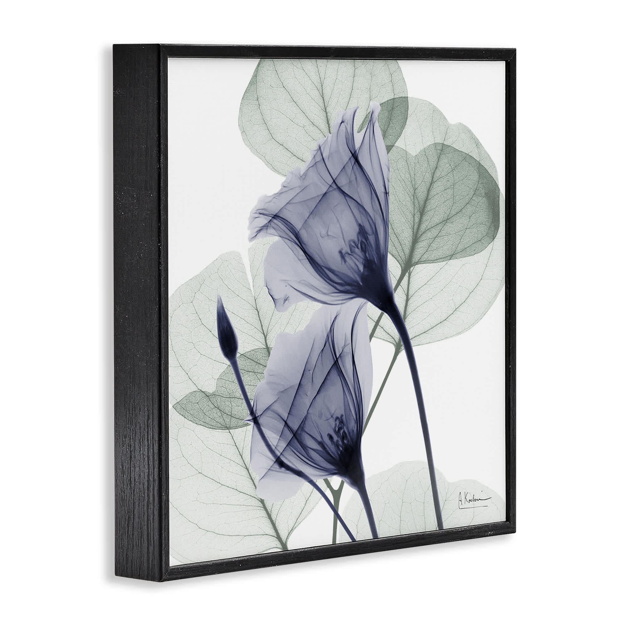 Stupell Industries BS-028-FR-12X12 Wall-Art - View #2
