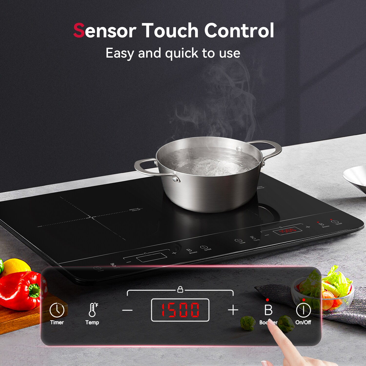 Gasland Chef 24-in 2 Burners Black Induction Cooktop in the Induction ...