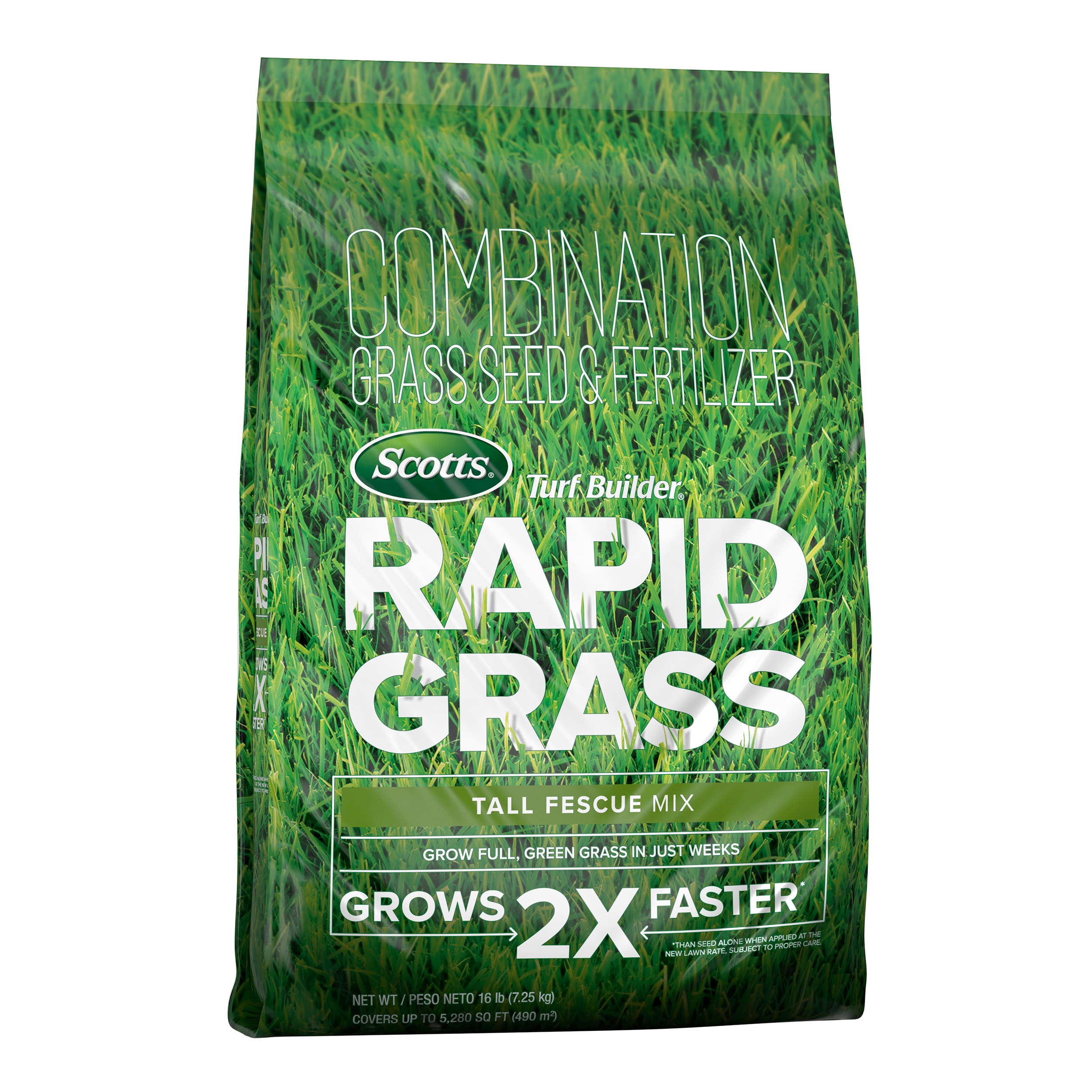 2,000 Pampas Grass Mix Grass Seeds Seeds BULK SEEDS 