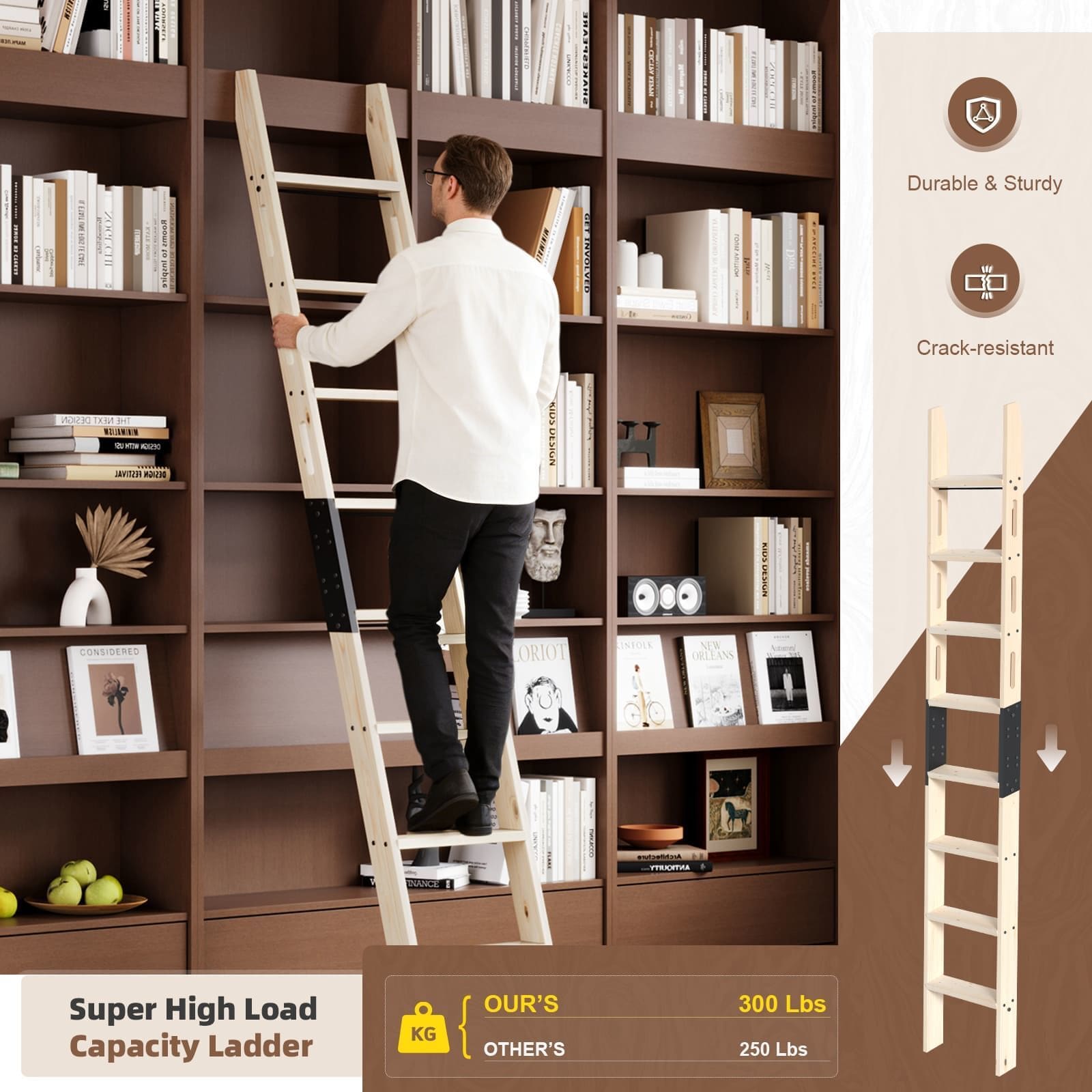 Fredbeck LD-SP-L01-305 Library-Ladders - View #4