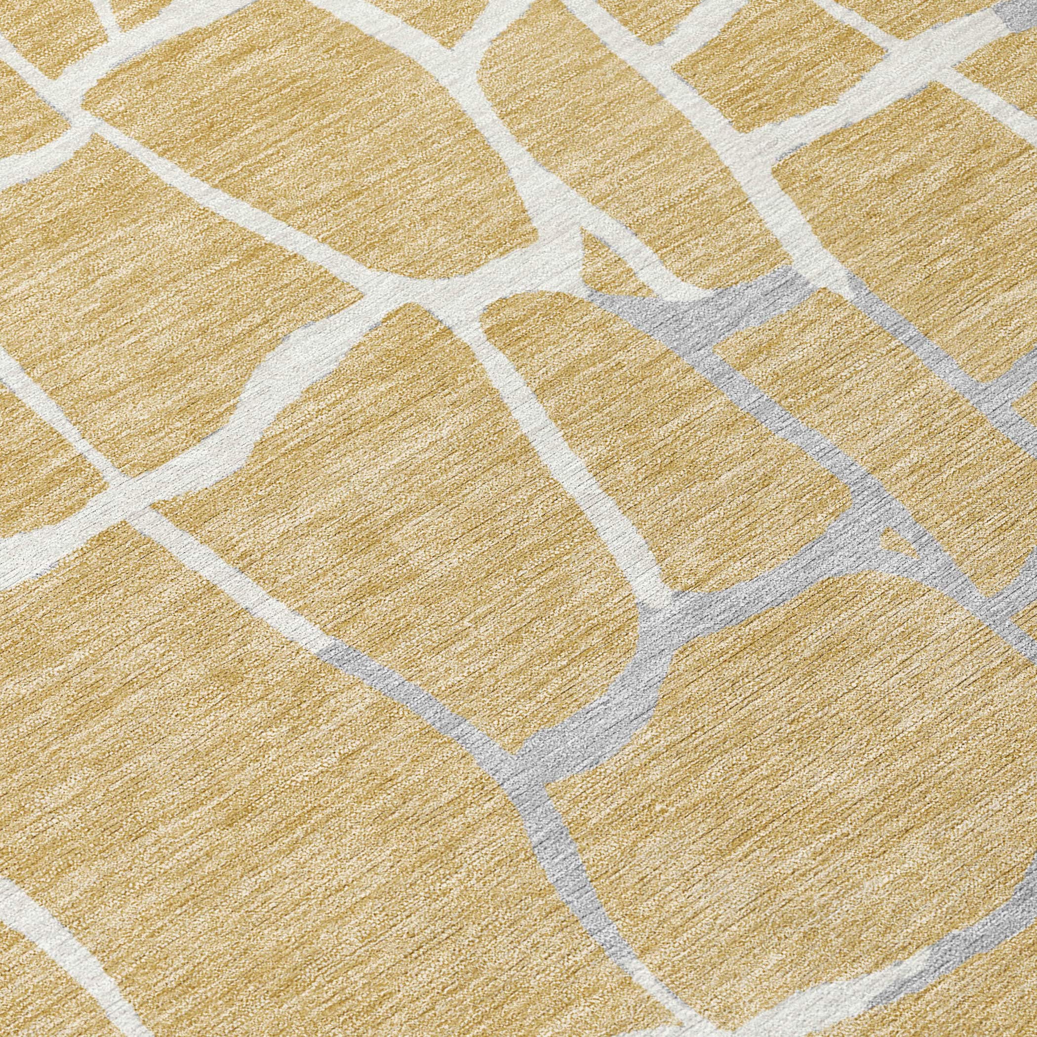 Addison Rugs ACN1049GO30X46 rugs - View #6
