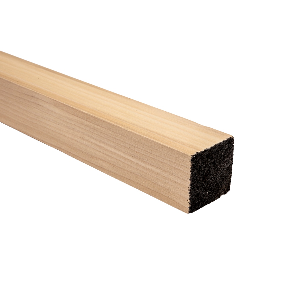 Madison Mill 444518 1.75-in dia x 36-in L Square Poplar Dowel