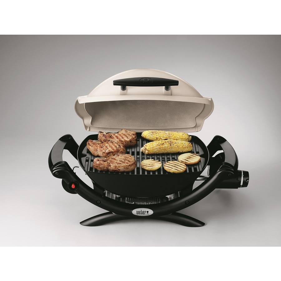 Klimaanlæg omgivet Nathaniel Ward Weber Weber q 1000 189-Sq in Titanium Portable Gas Grill in the Portable  Grills department at Lowes.com