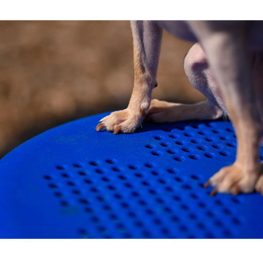 Stepping Paws Dog Exercise Equipment