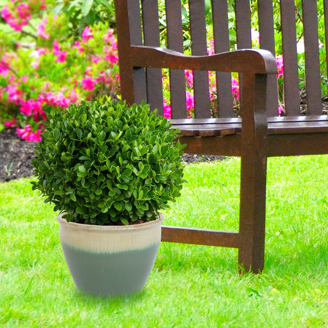 Sunnydaze Decor AP-834 Planter-Window-Box - View #9