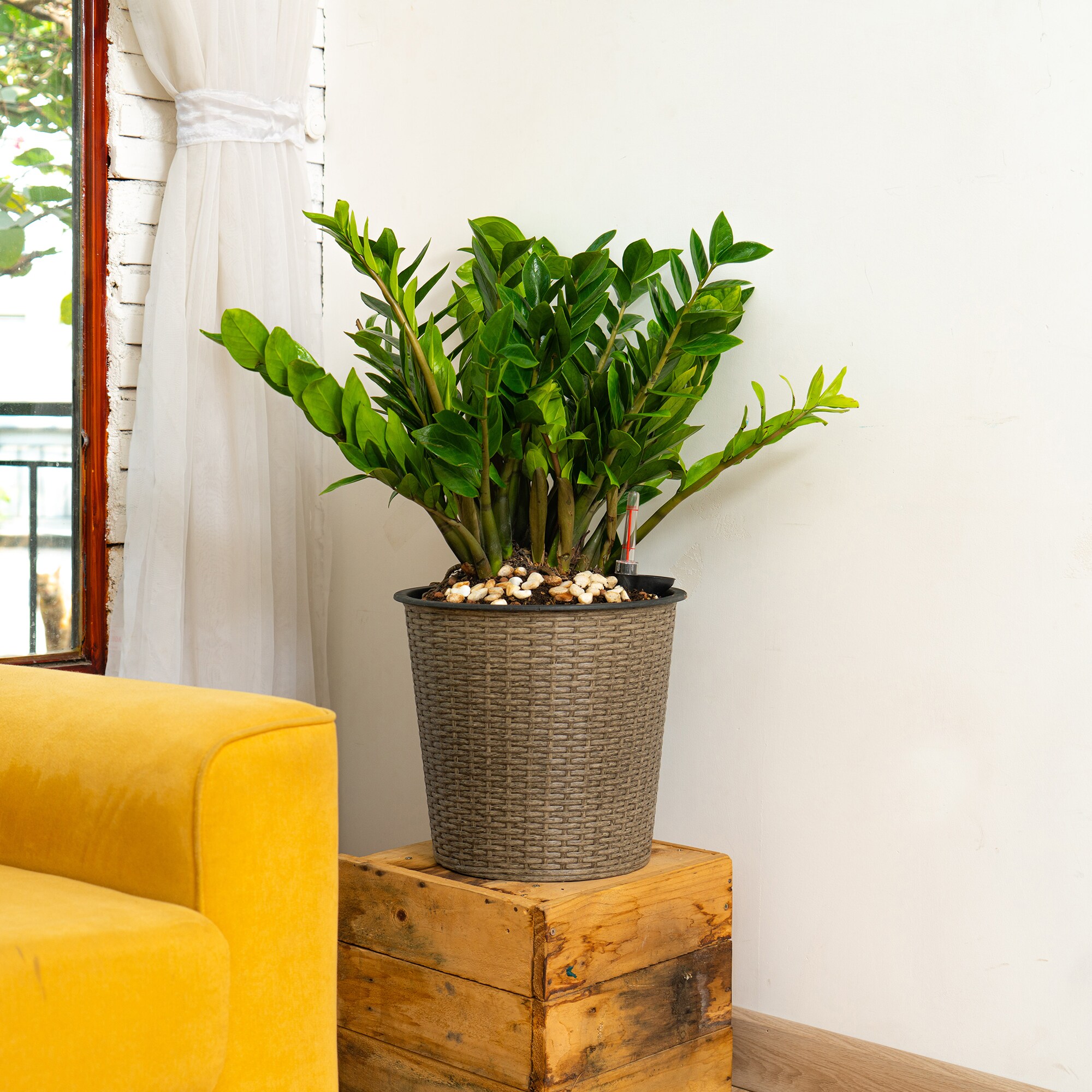 GDFStudio 372022 Planter-Window-Box - View #3