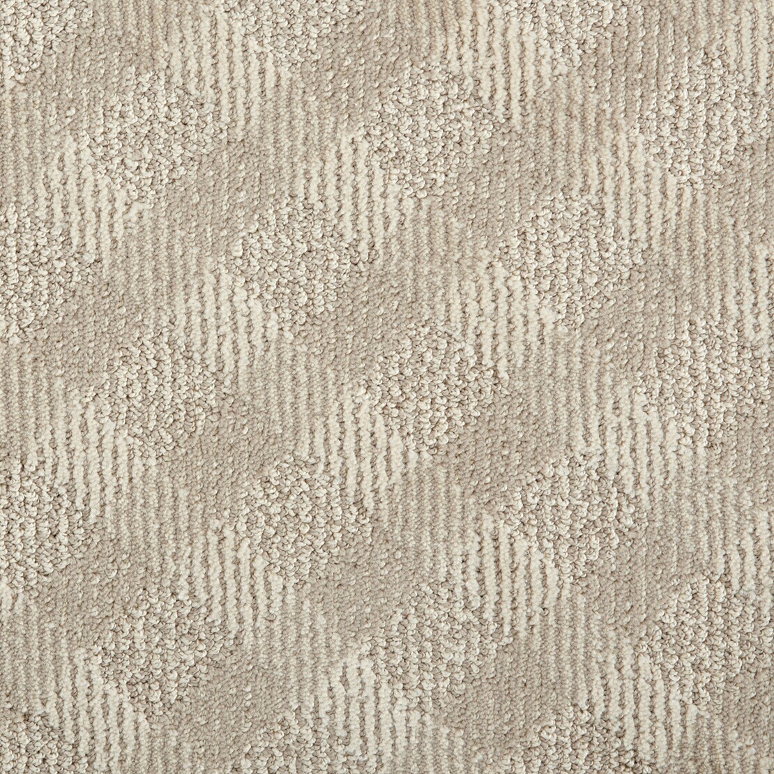 STAINMASTER S795846ANTIQUE -5405 (Sample) PetProtect Crossing Antique White Pattern Carpet