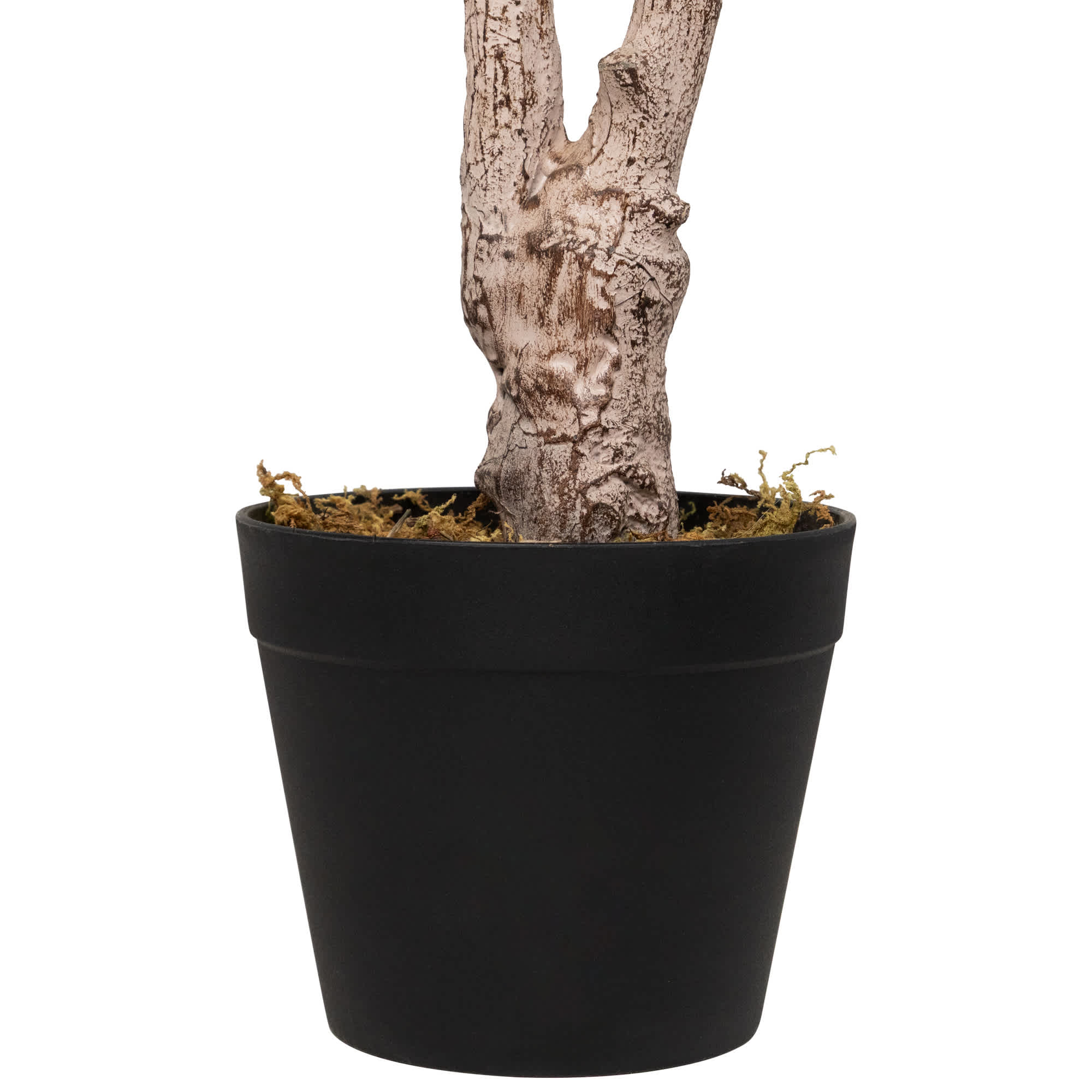 Northlight NORTHLIGHT-WN37353 Artificial-Plants-Trees - View #4